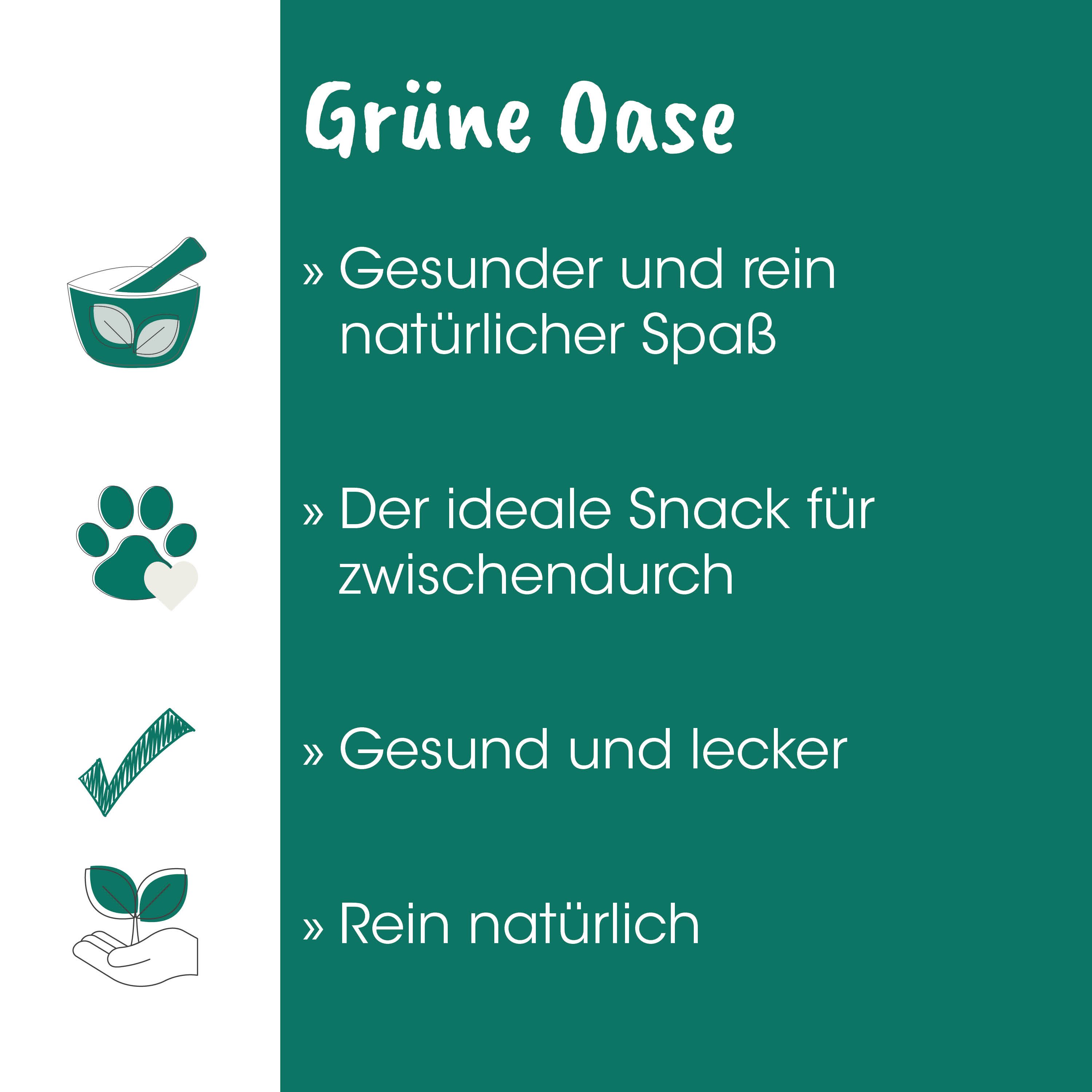 grüne oase, naturprodukt, snack, gesund, bio