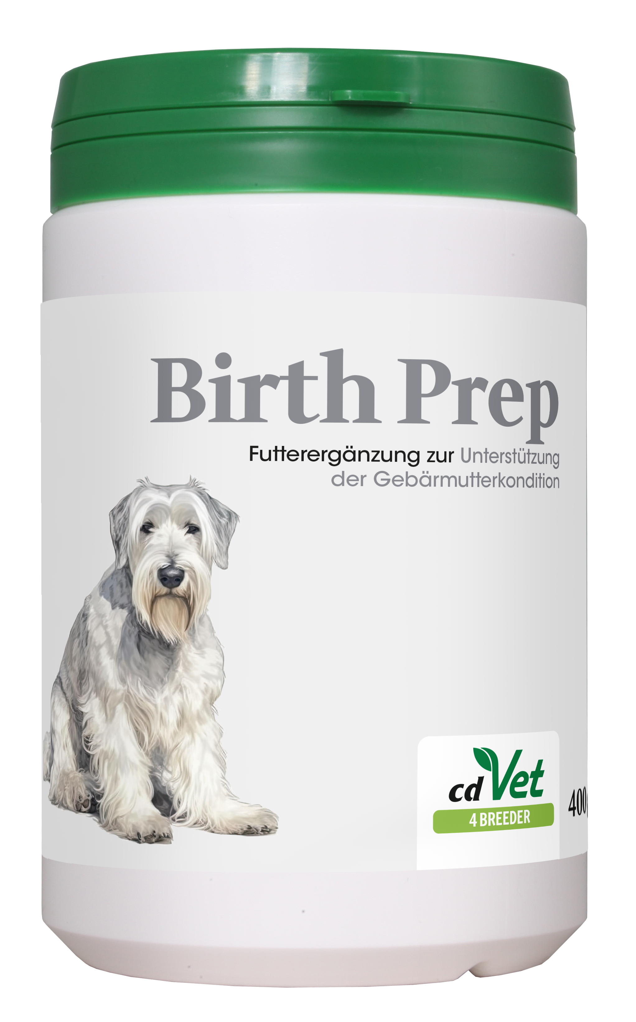 Tier, Hund, Säugetier, Haustier