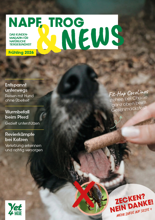 Hund, Knochen | Snack, Frühlingsmagazin?, Tiergesundheit, Coverbild