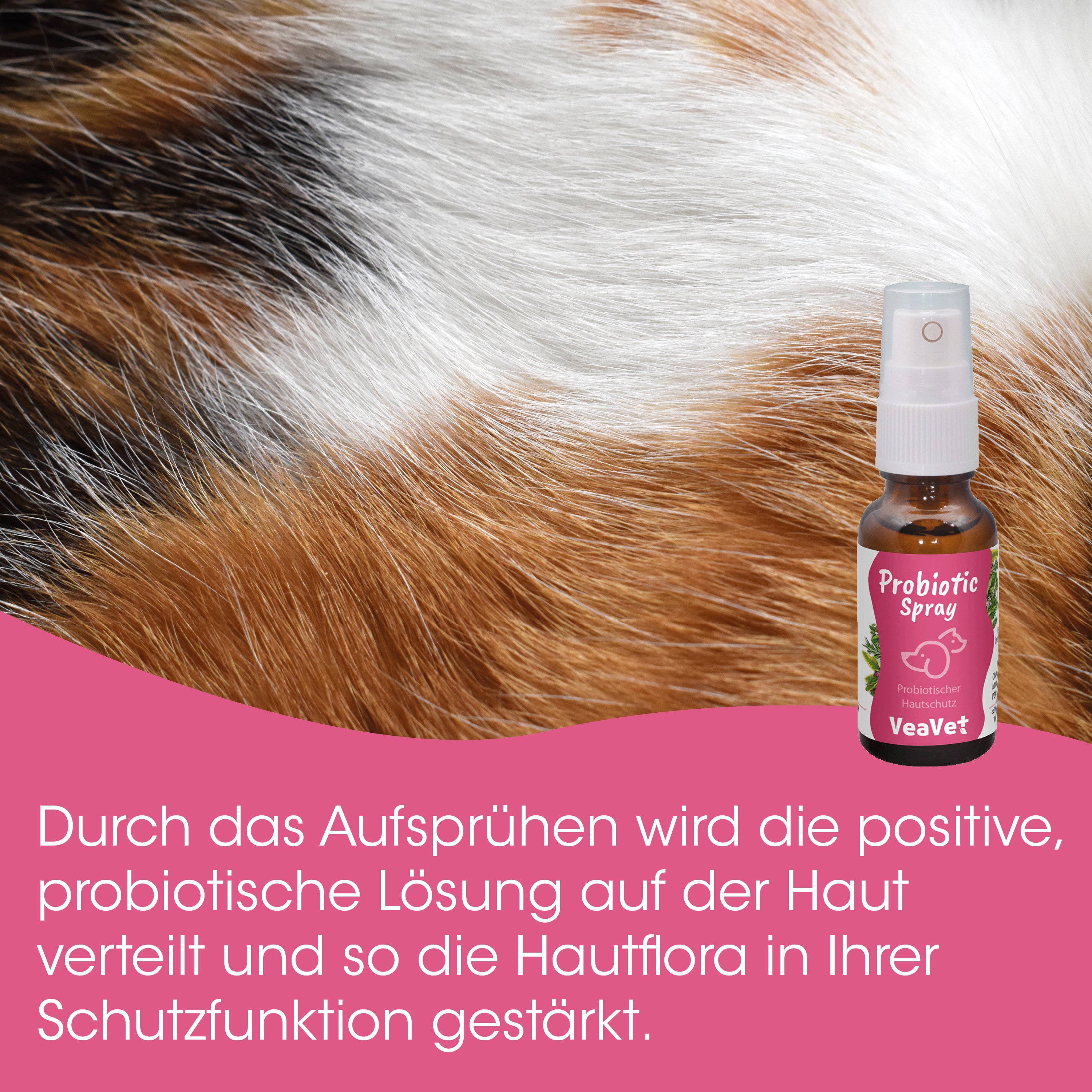 Probiotic, Spray, Hautpflege, Hautschutz, Tierarzt