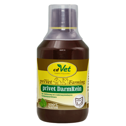 privet DarmRein 250 ml -Sorbe-