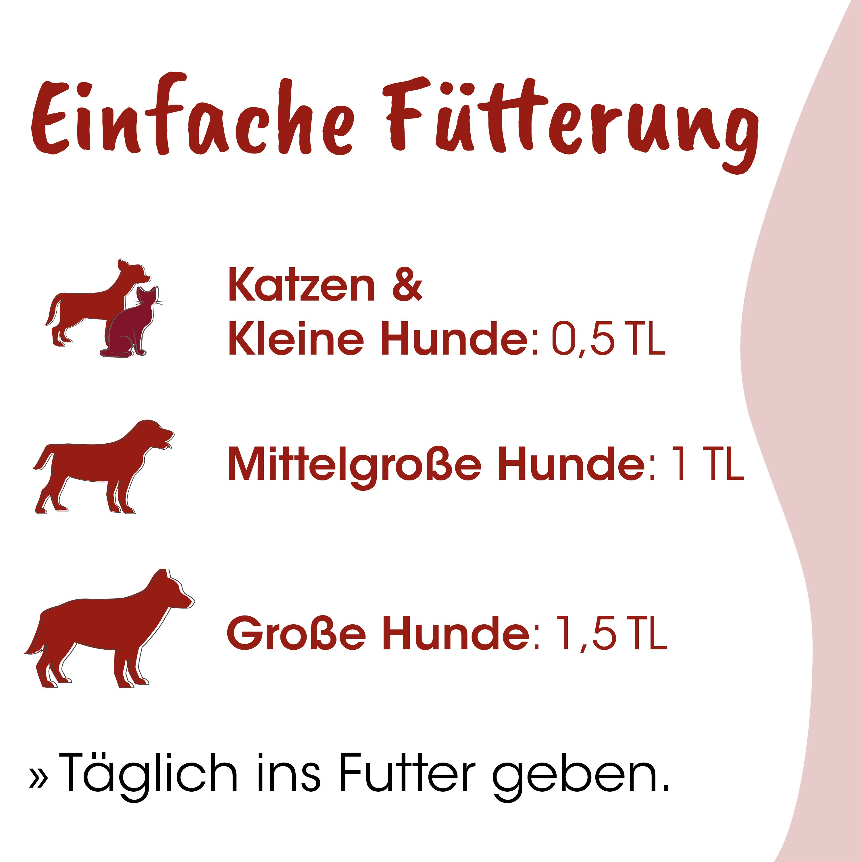 Hund, Tierfutter, Hunde, Katzen, Futteroptionen