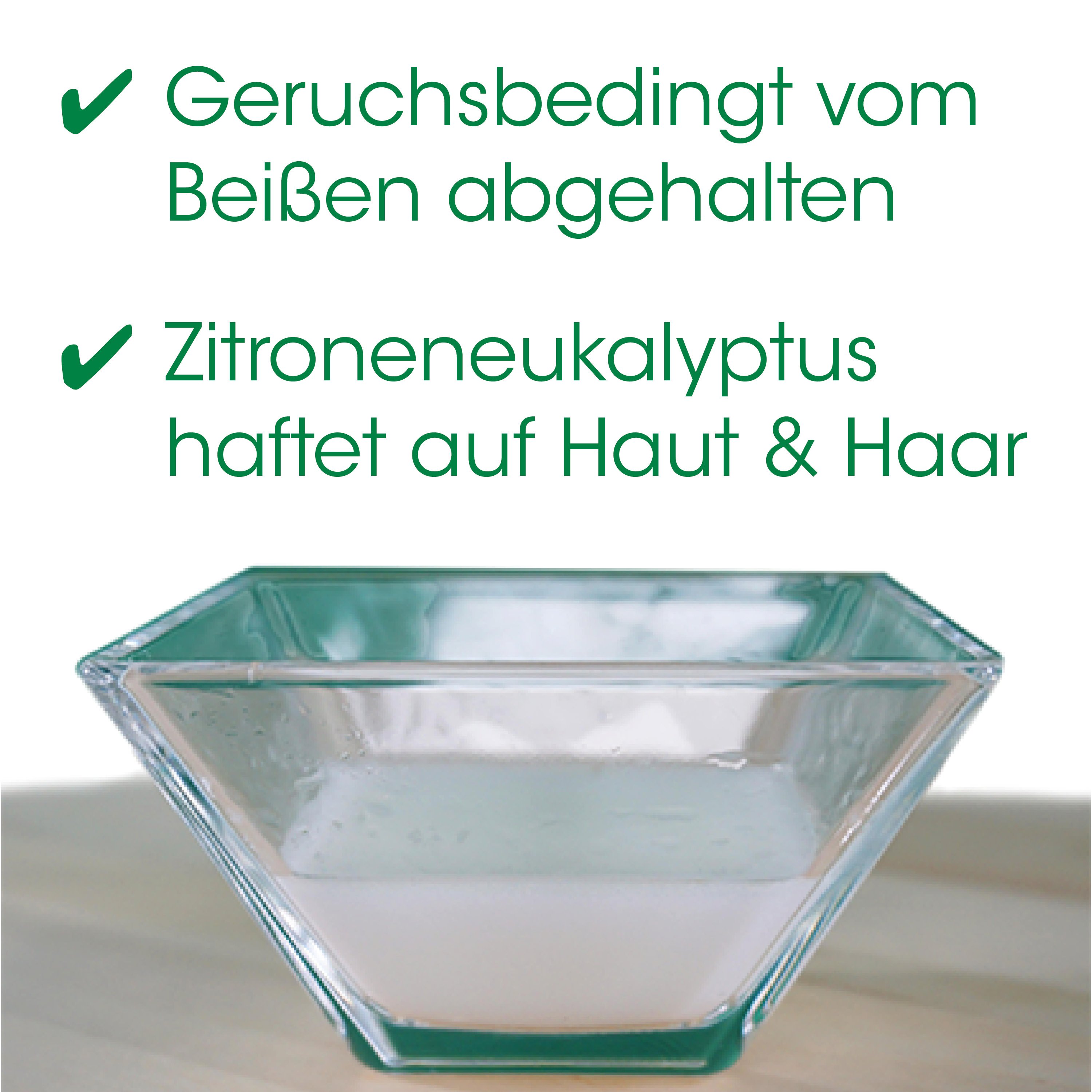 Schüssel, Glasschüssel, Vielzweck-Schüssel, Transparente Schüssel, Spülmaschinenfest