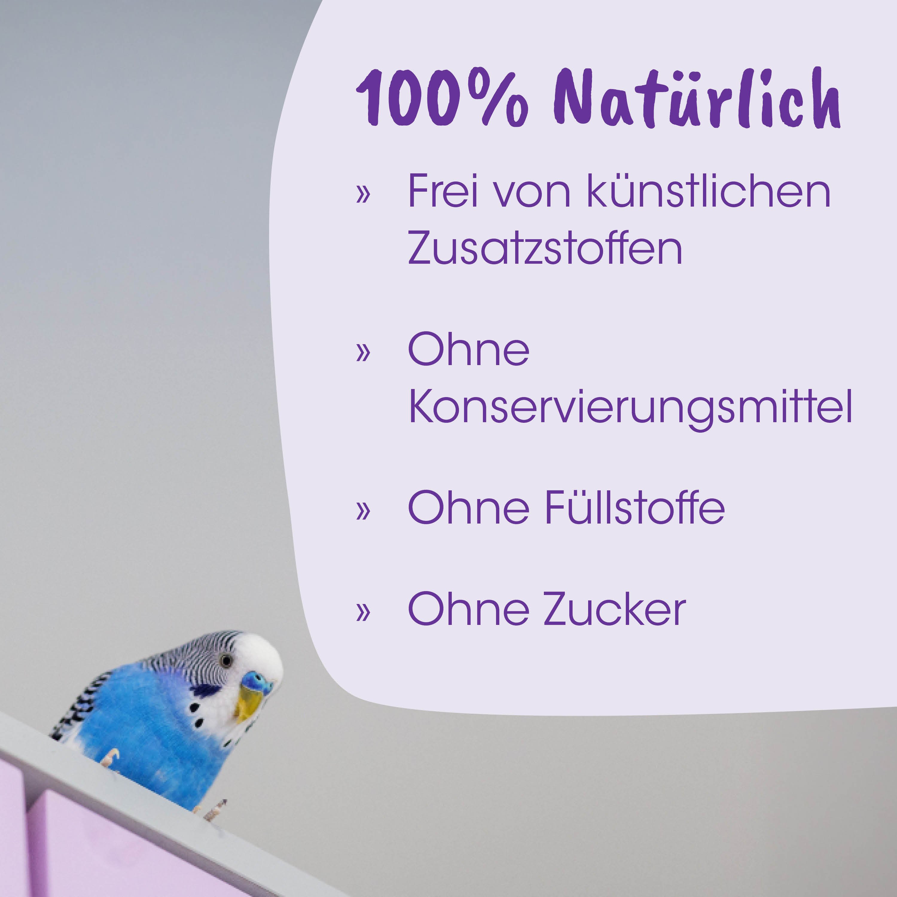Kursiv, Blau, Vogel, Papagei, Klein