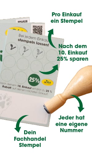 QR Kode, Text