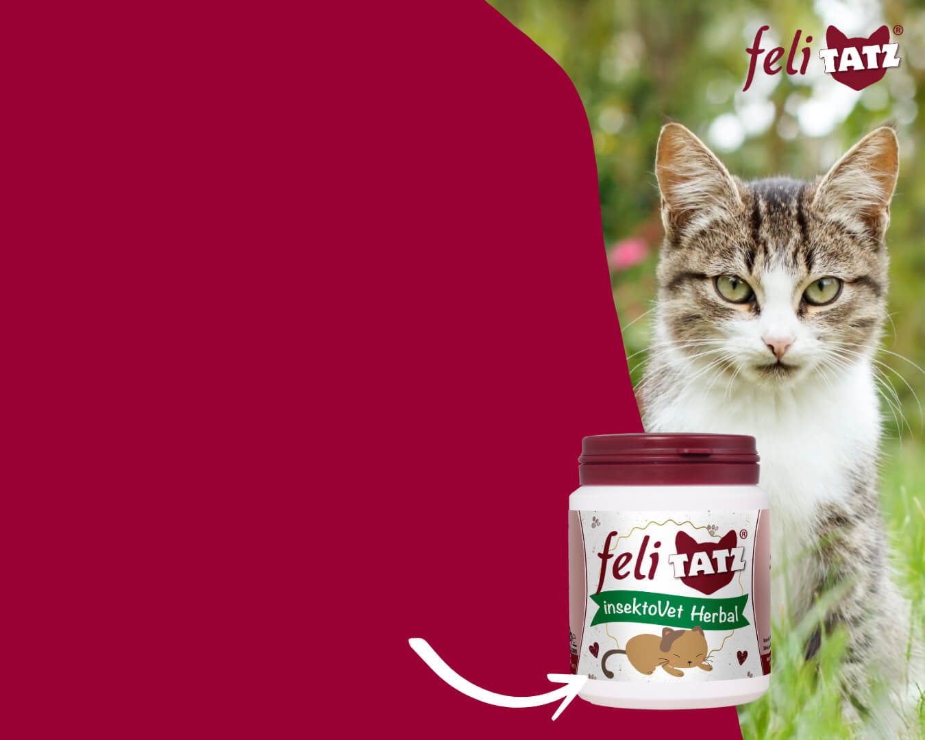 Tier, Katze, Säugetier, Haustier, Krug