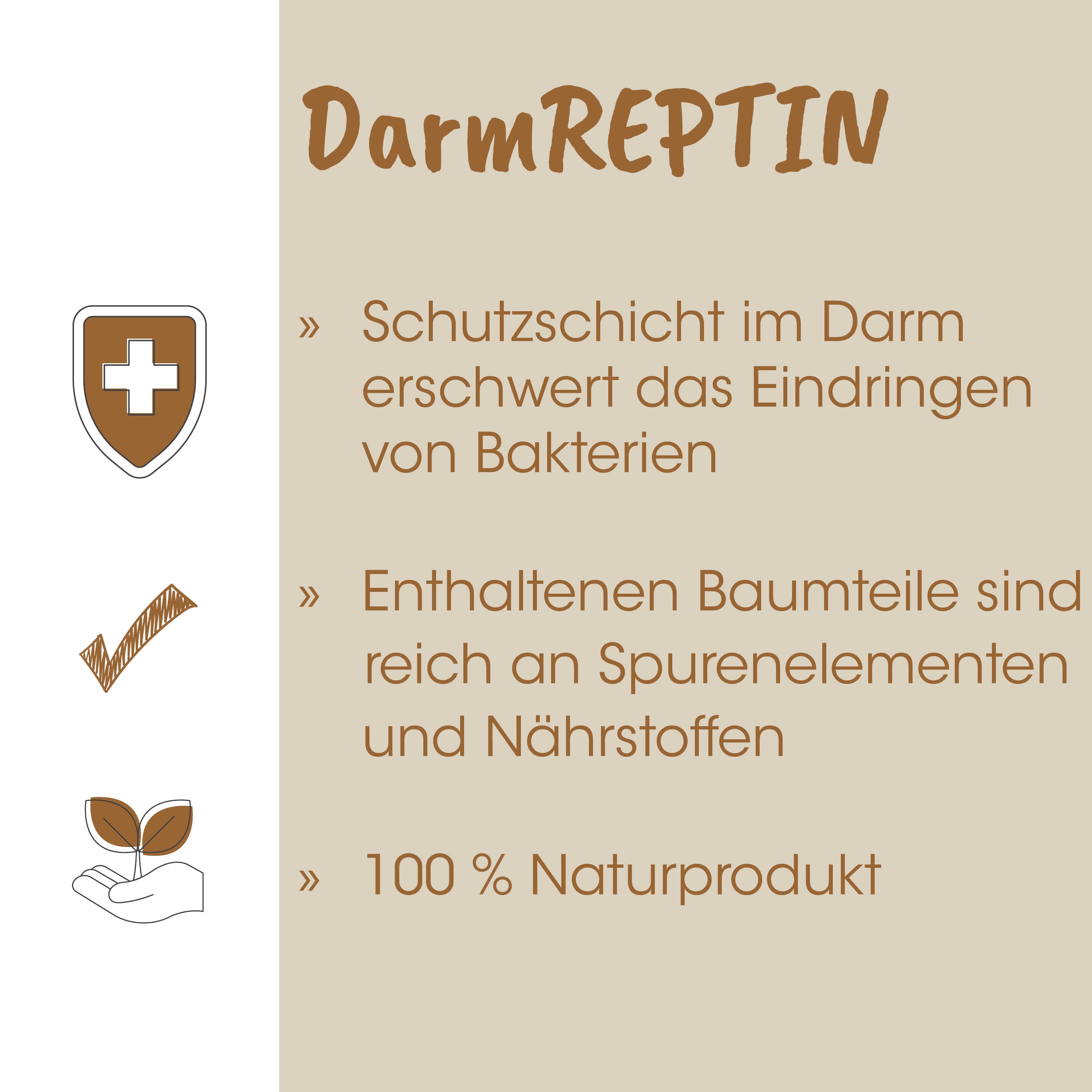 Schutzschild, Muster, Naturprodukt, Bio?, Hand