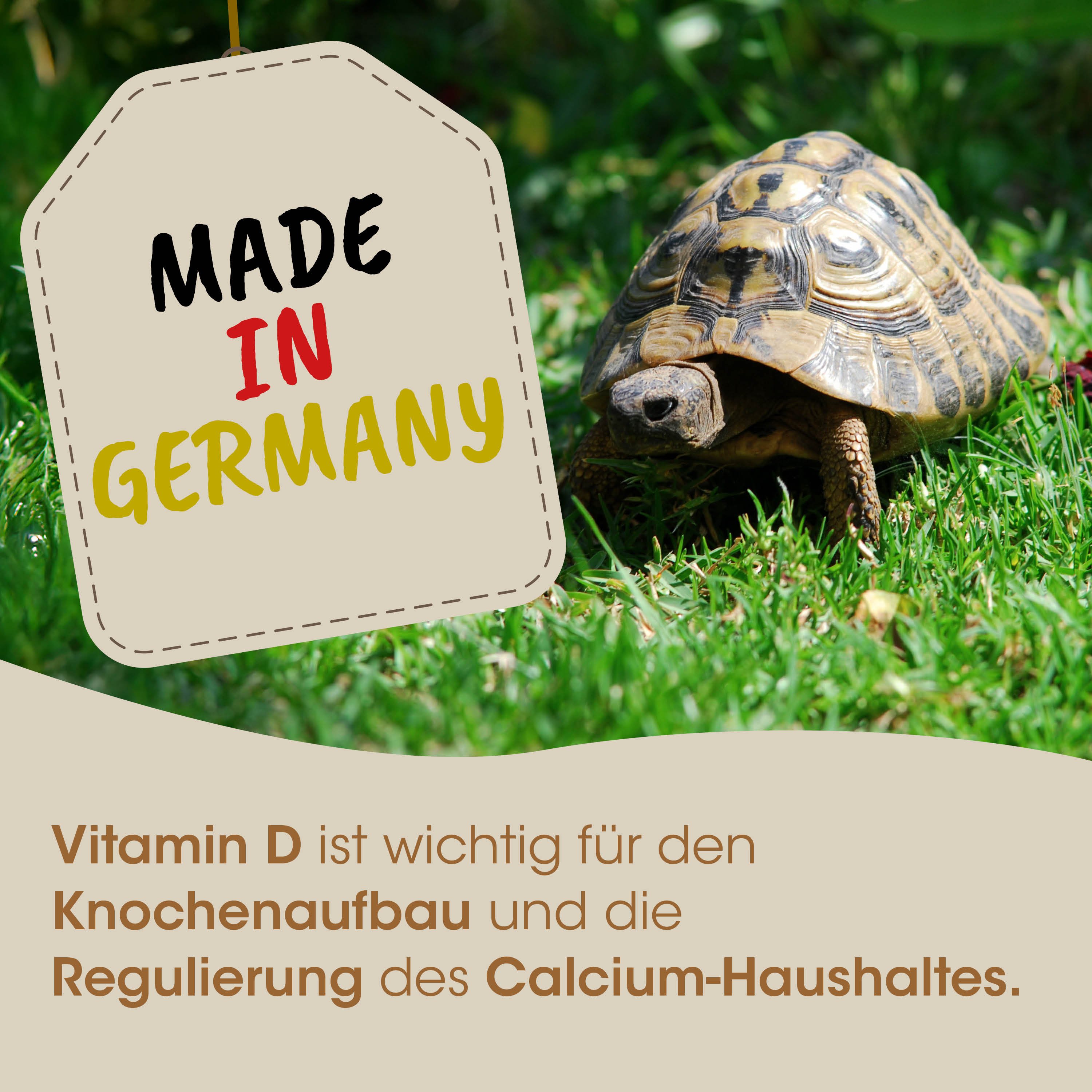 schildkröte, schildkrötenart, haustier reptil, garten, hergestellt in deutschland