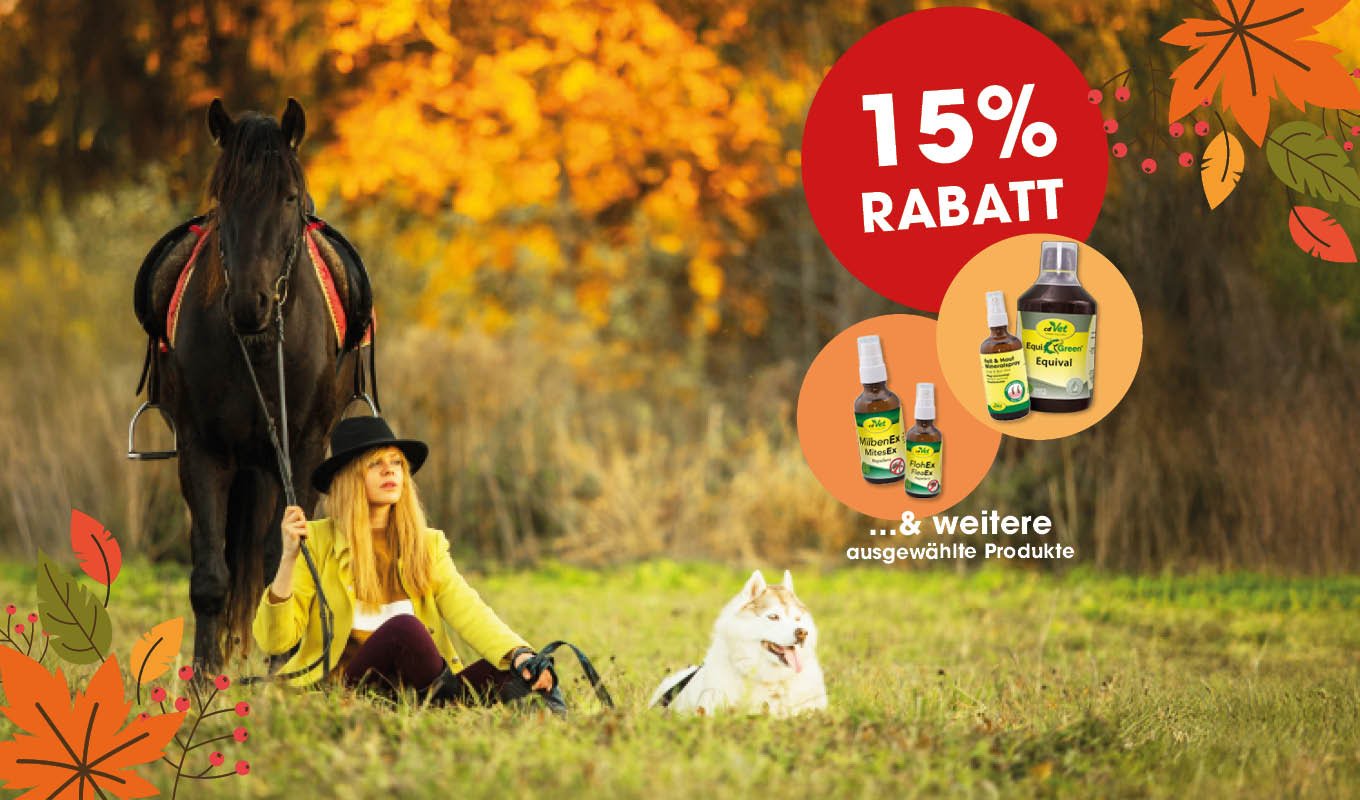 pferd, frau, herbst, hund, werbung