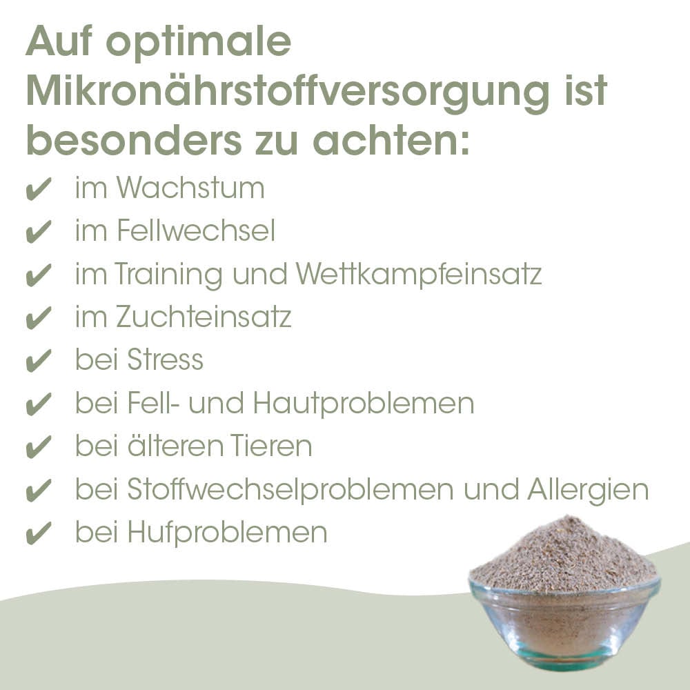 Getreide, Mikronährstoffe, Nahrungsergänzung, Pulver, Sand