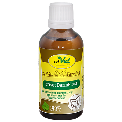 priVet DarmFlora 50 ml