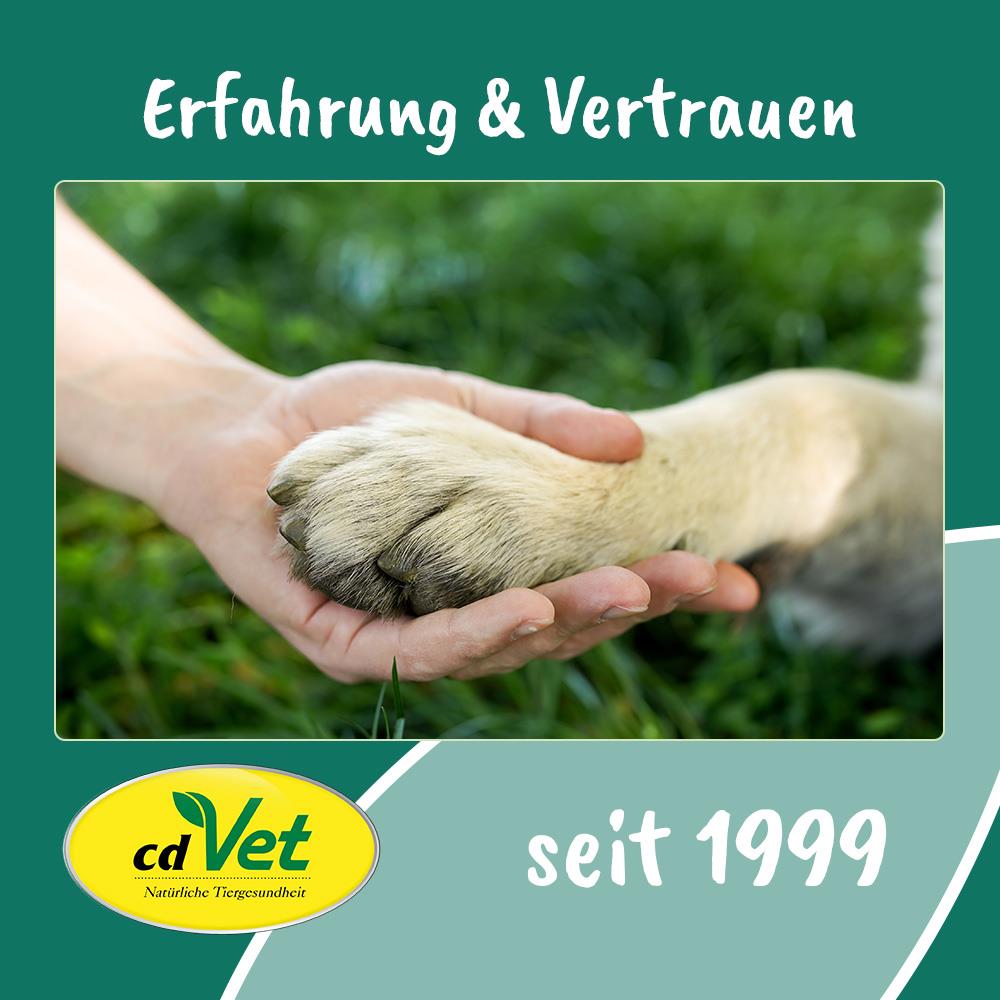 Hundepfote, Tiergesundheit, Handkontakt, Naturheilkunde, cdVet
