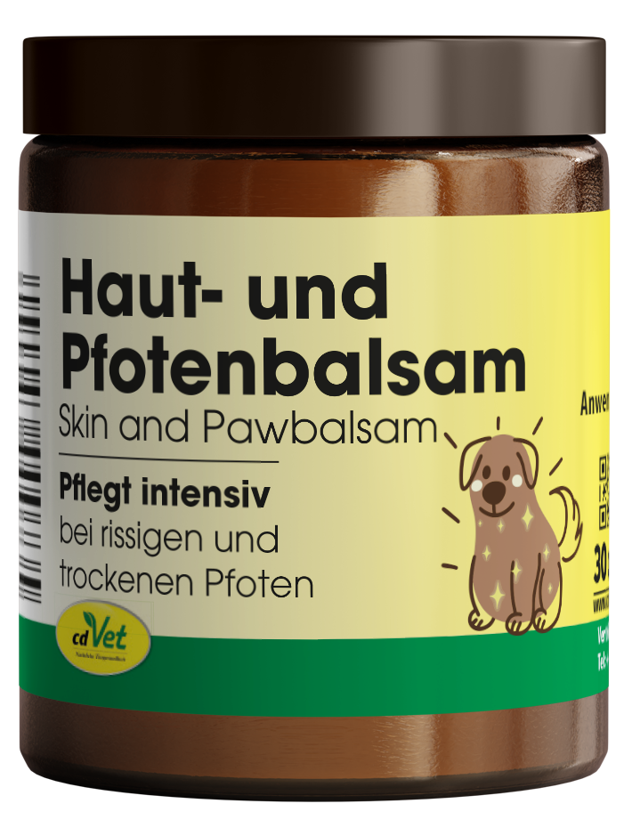 Tier, Hund, Säugetier, Haustier