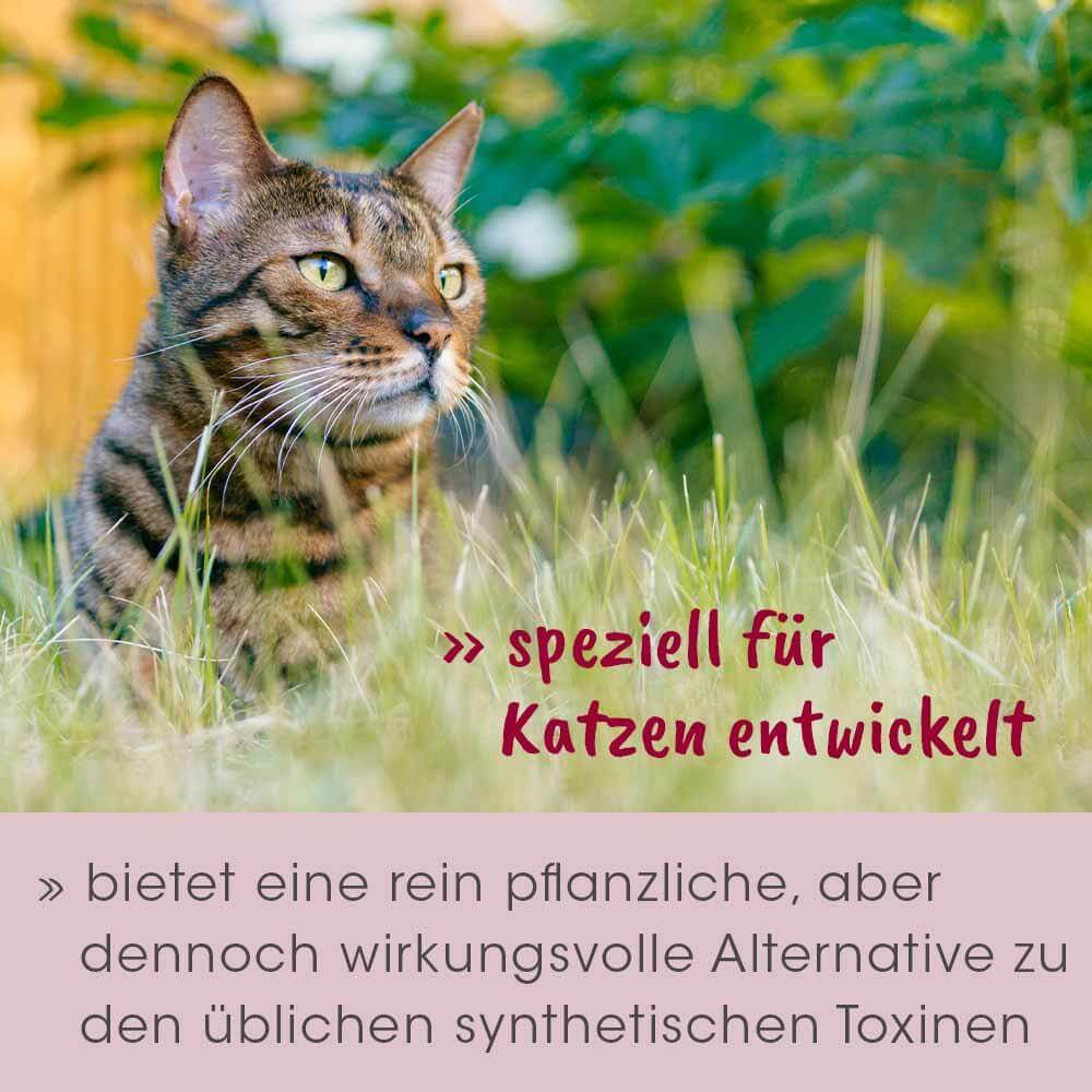 feliTATZ AbwehrKonzentrat 10 ml