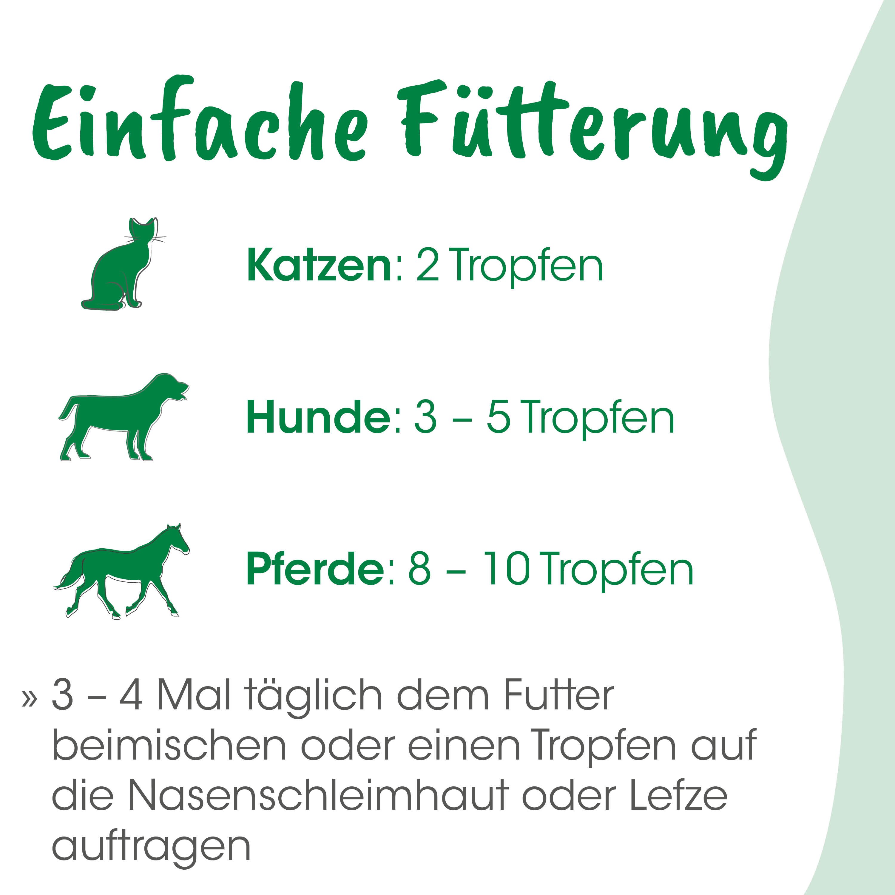 Katzenfutter, Katzennahrung, Trockenfutter, Beutel, Tierbedarf