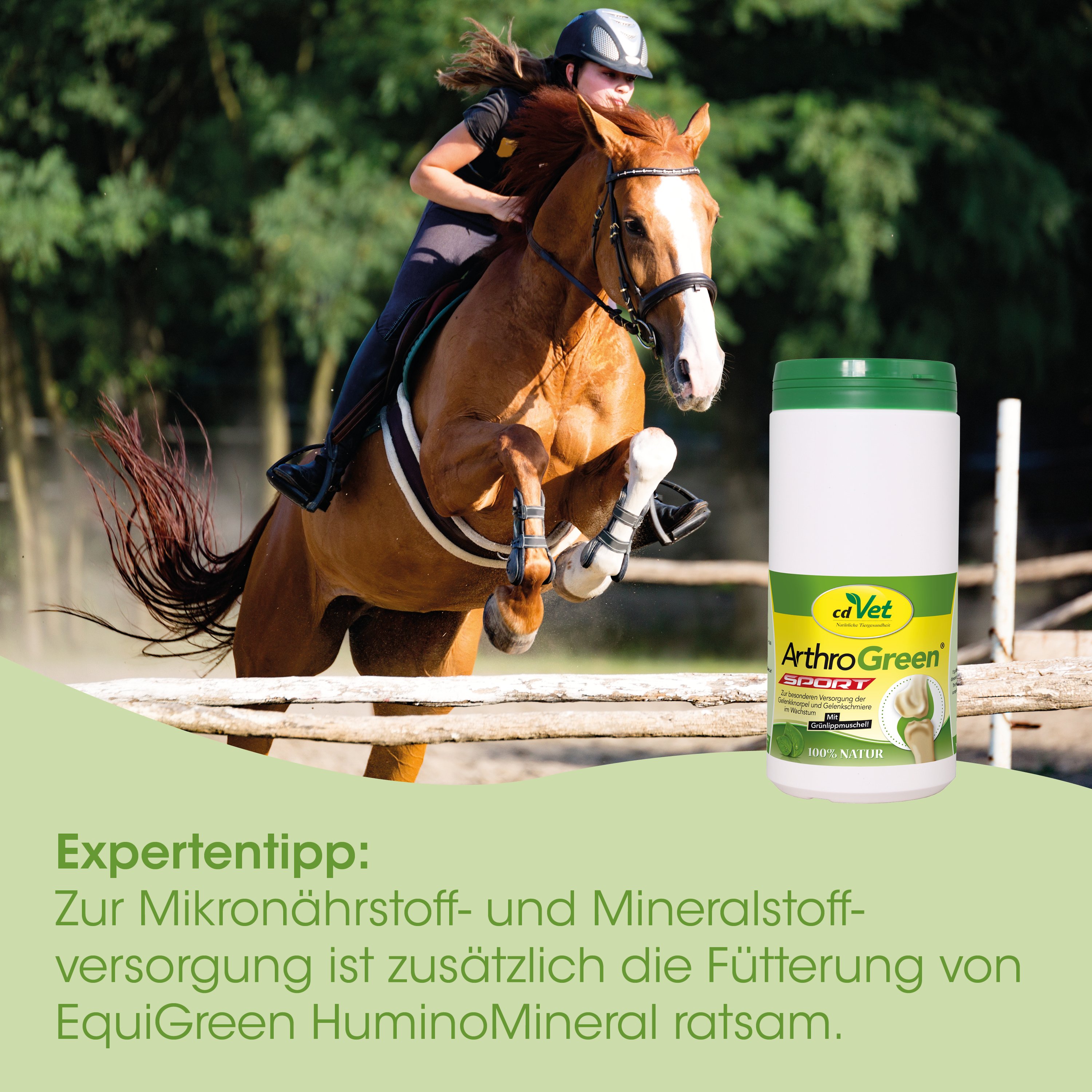 Pferd, Reitsport, Springen, Reiter, Ergänzung
