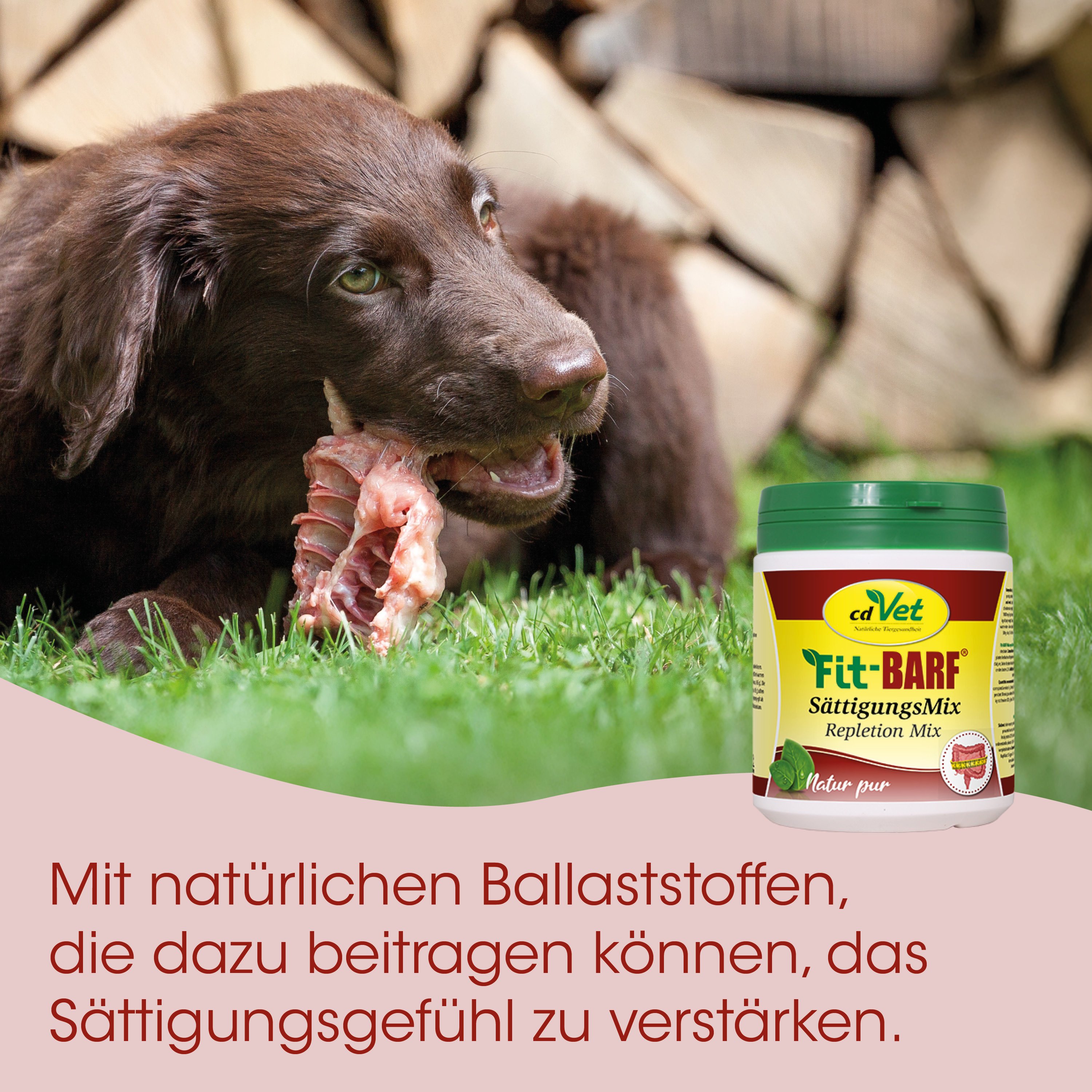 Hund, Kauendes Fleisch, Futterergänzung, Naturmaterial, Tiernahrung