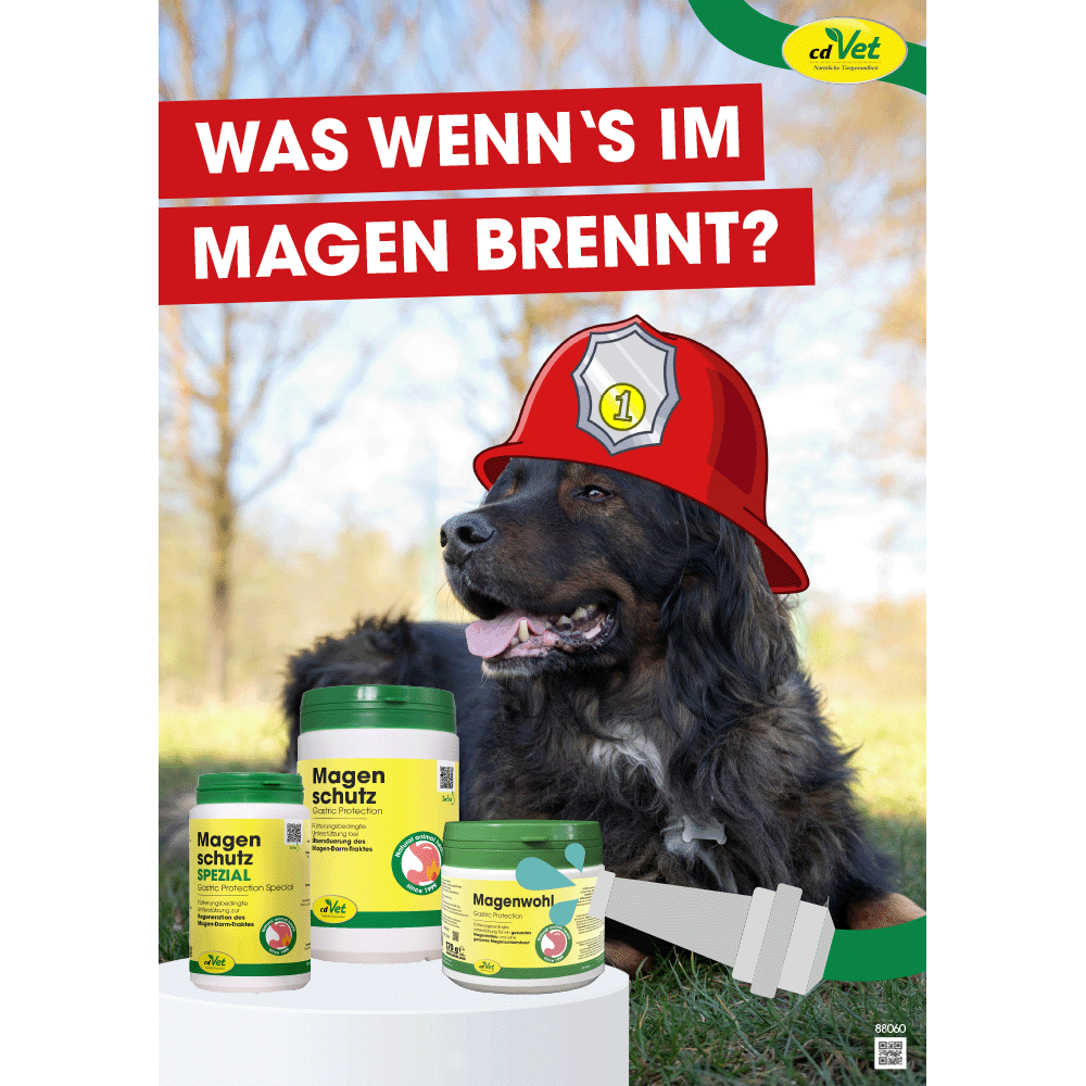 Hund, Futterergänzung, Magen protection, Knochen, Tierarzt, Hund, Hunde-Futter, Tiergesundheit, Magen-Schutz, Tierarzt-Zusatz
