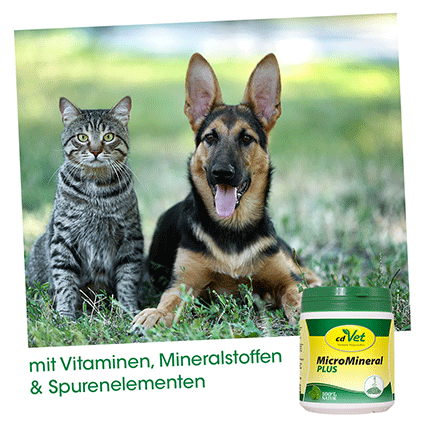 MicroMineral plus Hund & Katze 500 g