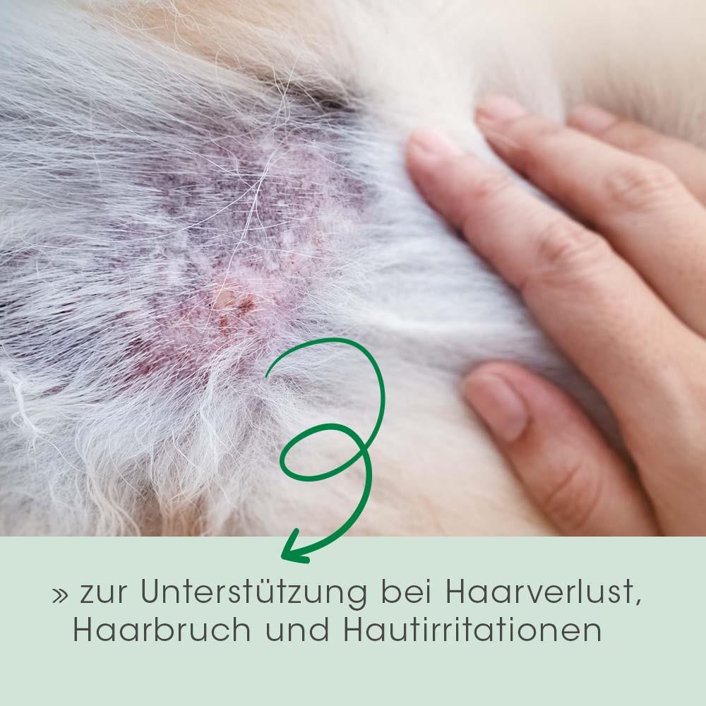 Fell & Haut Vital Hund & Katze 150 g