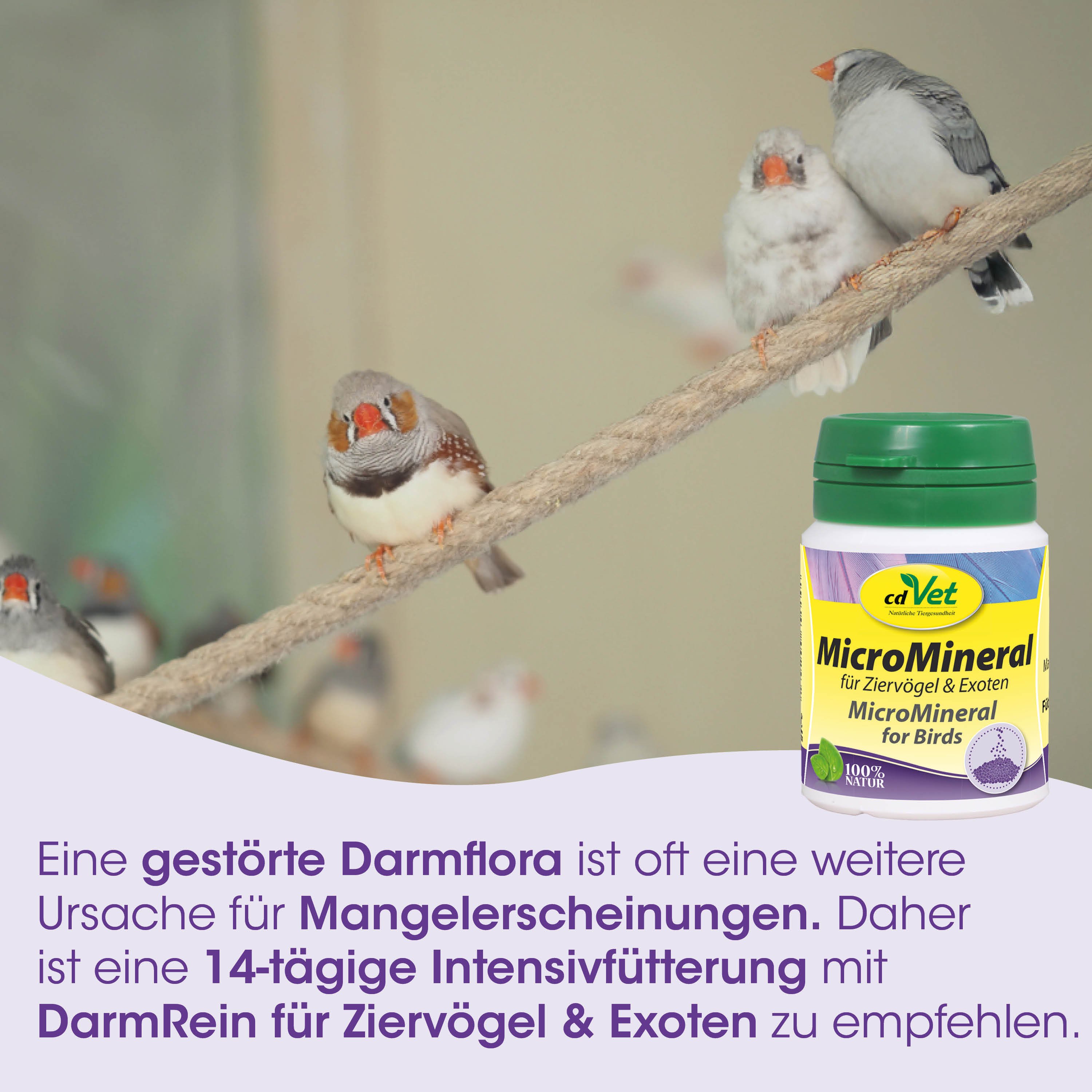 Papageien, Vogelnahrung, Samenmischung, Vitaminergänzung, Micro Mineral