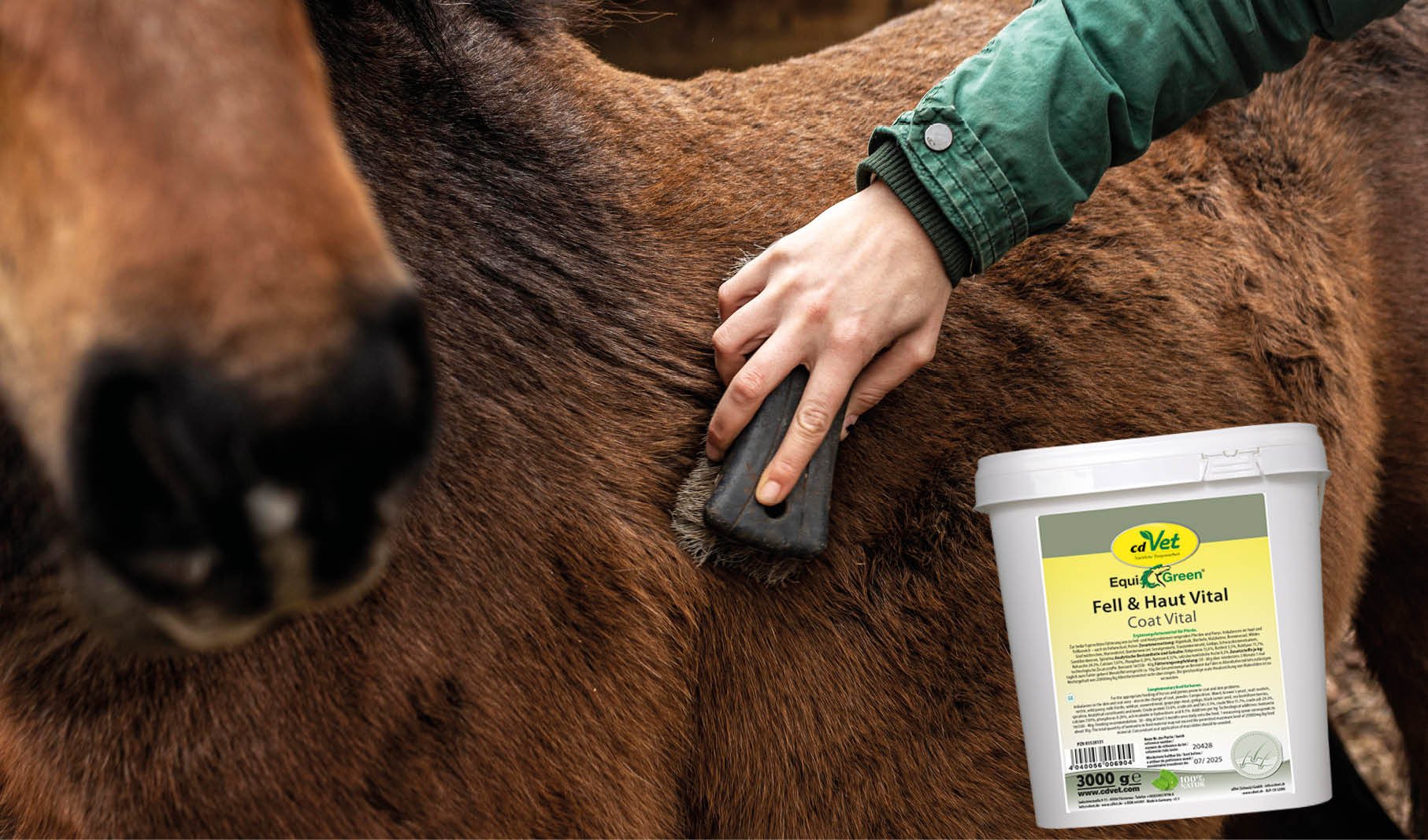 Pferdepflege, Huf- und Fellpflege, Kamm, Eimer, Pferdezusatz
