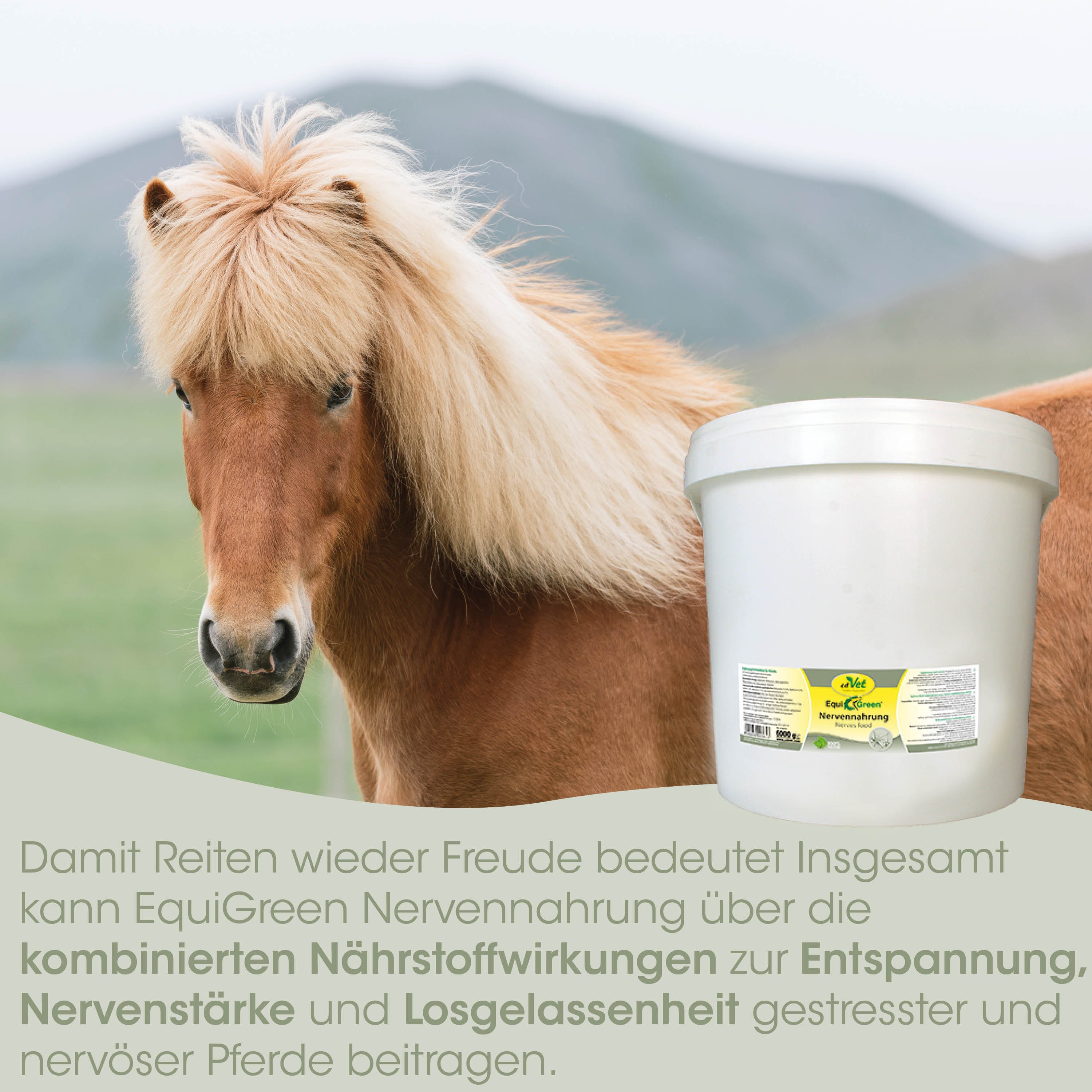 Pferd, Futter, Nervennahrung, Eimer, Kunststoffbehälter