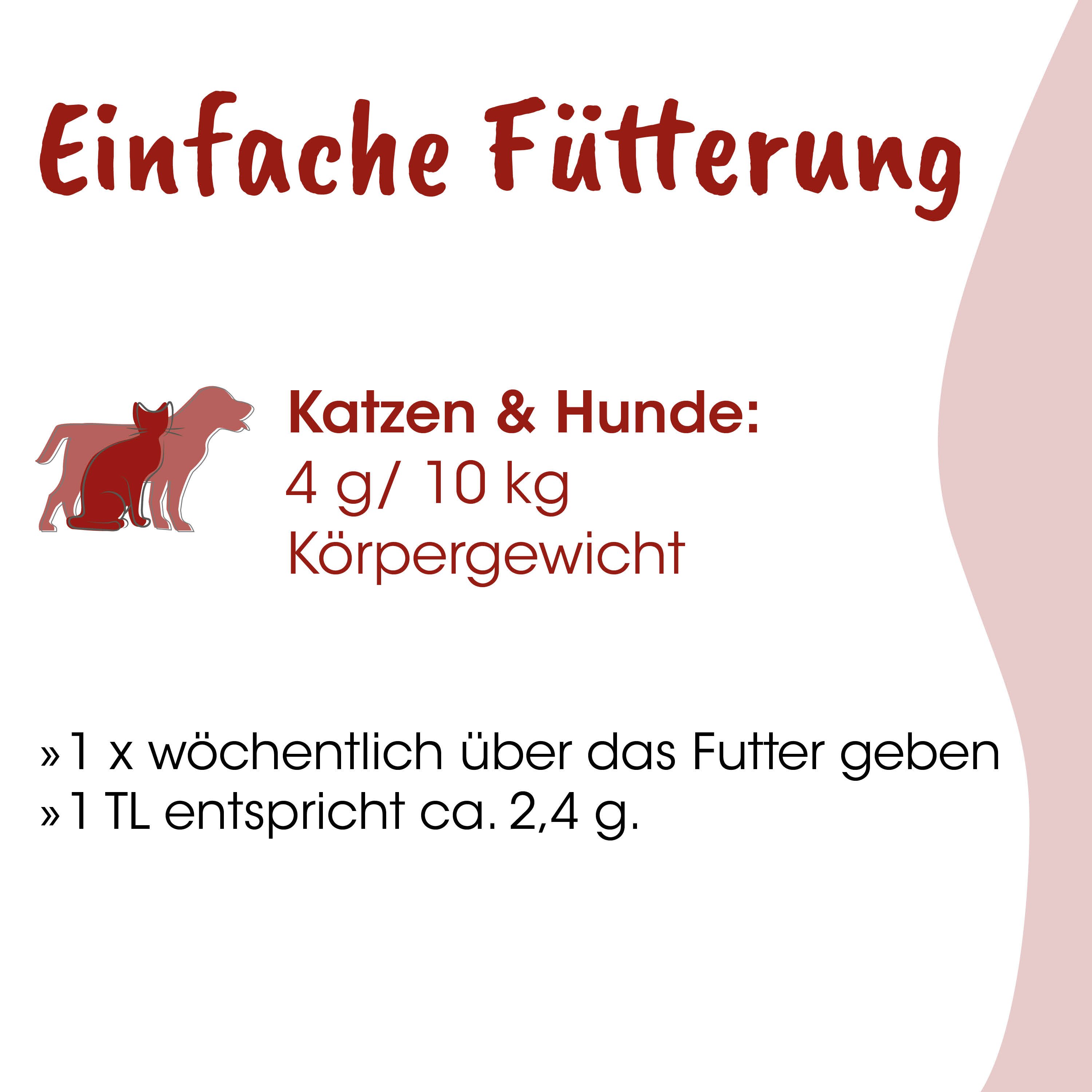 Hunde- | Katzenfutter, Katzenfutter, Hund, Katzen, Nahrungsbedarf