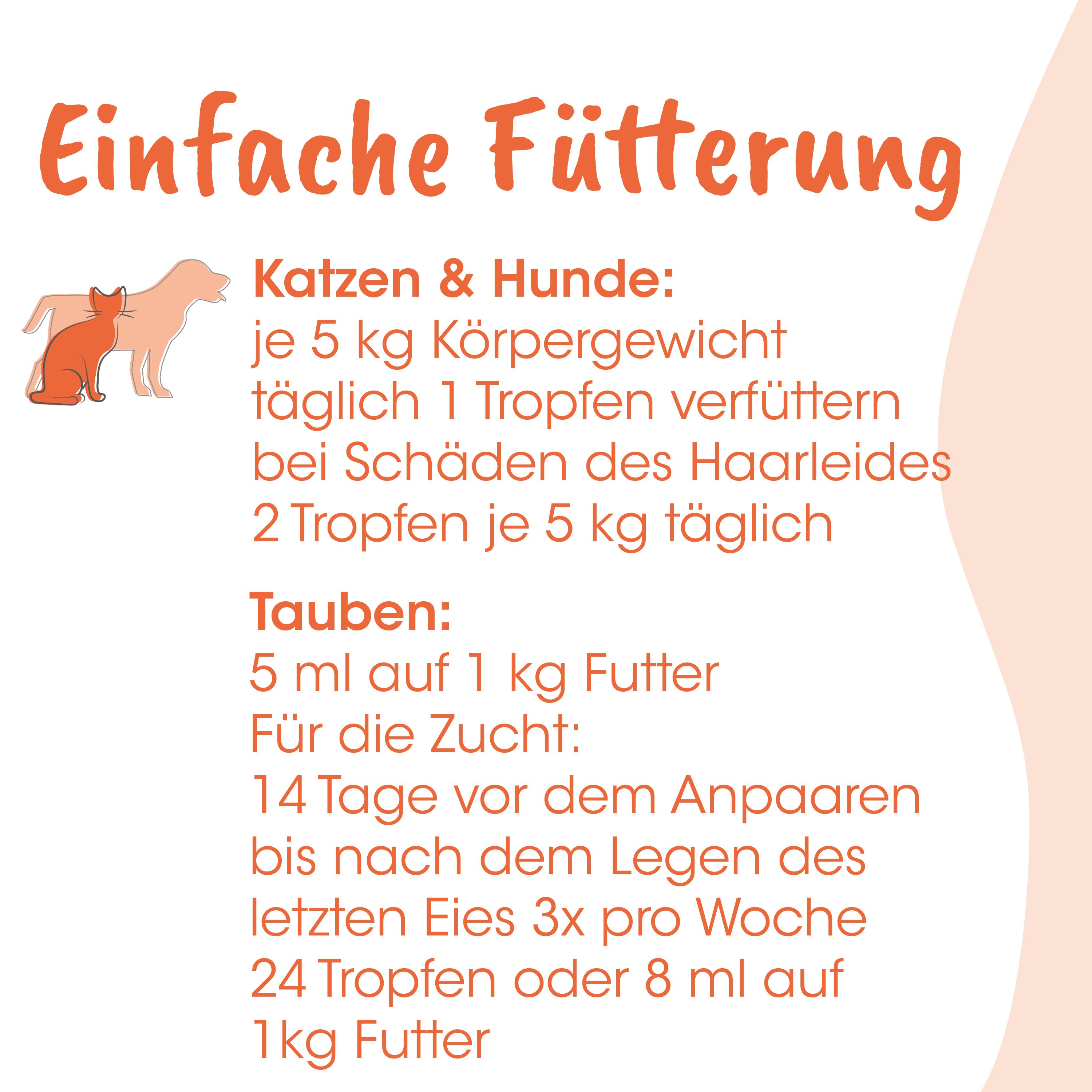 Katzen-Illustration, Katze und Hund, orange Text, Futter-Infografik, Tiernahrung