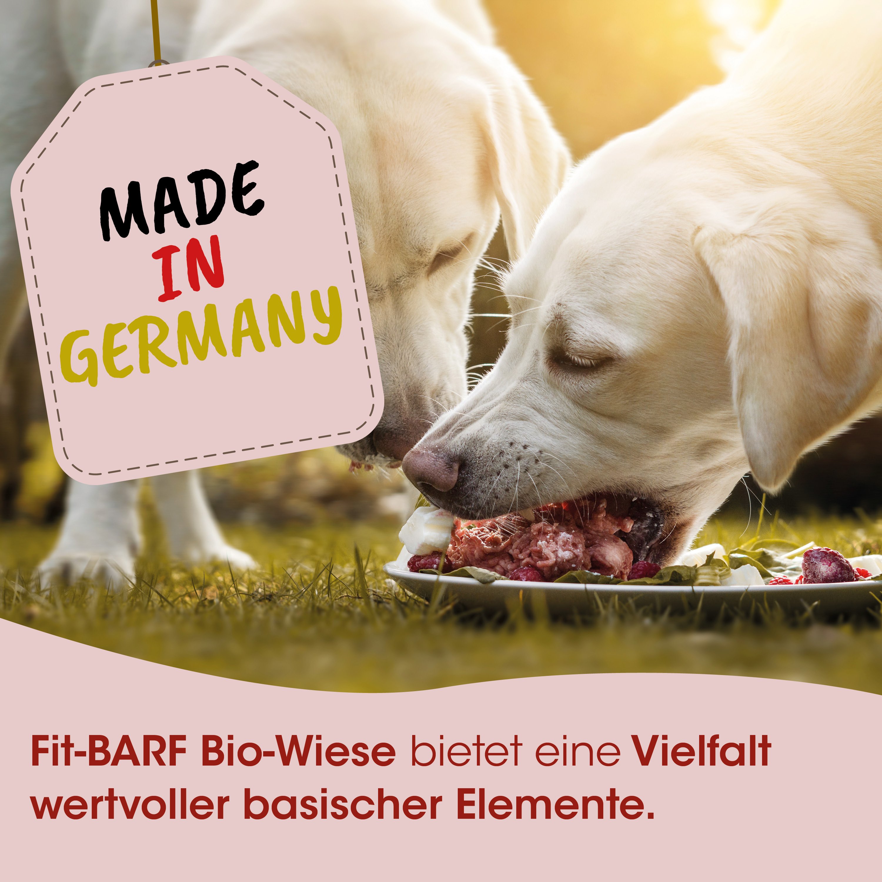 Hund, Hundefutter, Futter, Frischfleisch, Bio