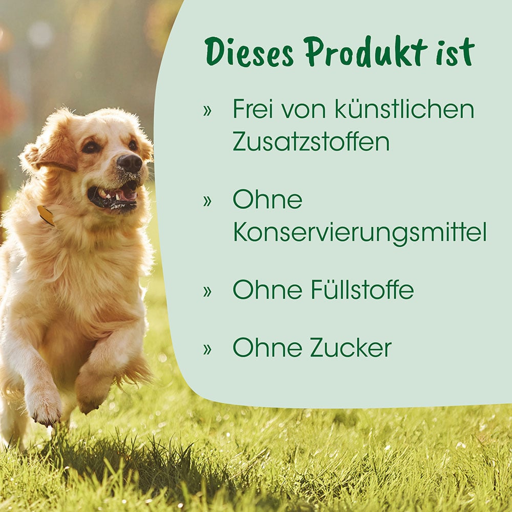 Hund, Laufhund, Collie, Tierfutter, Tierhaltung