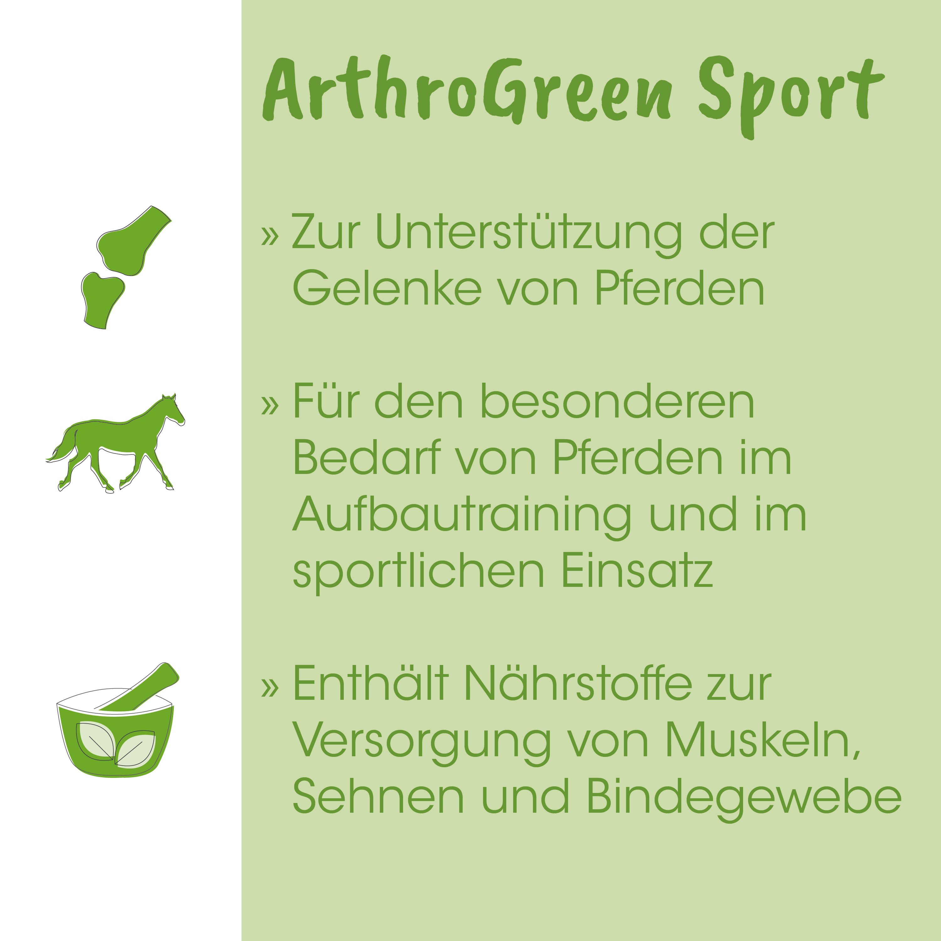 grün, pferd, schüssel, knochen, schuh