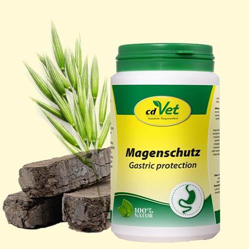 Hund-im-Urlaub_ProduktBanner-Verdauung_Magenschutz