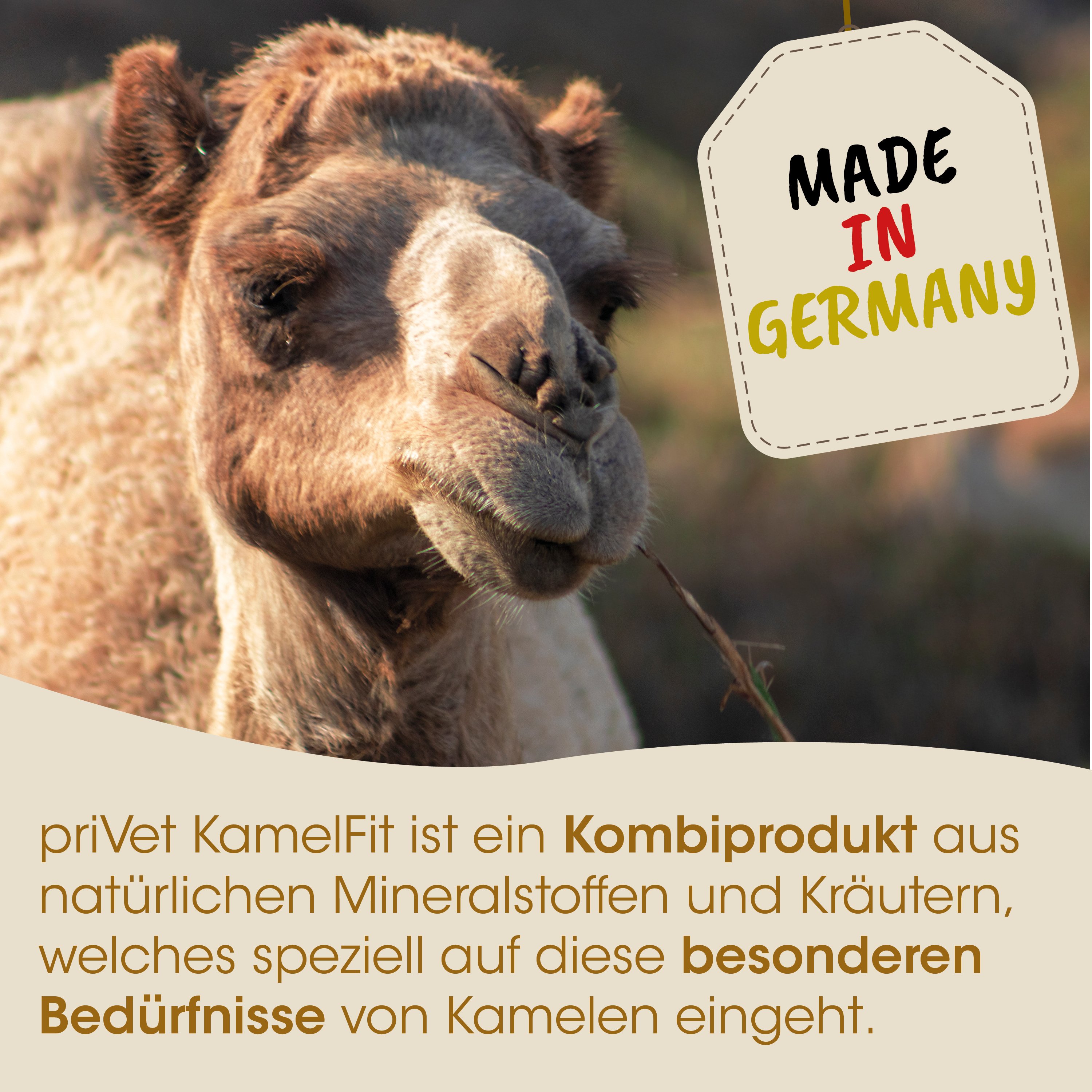 Kamel, Kombiprodukt, Naturstoffe, K8Ruter, KamelFutter