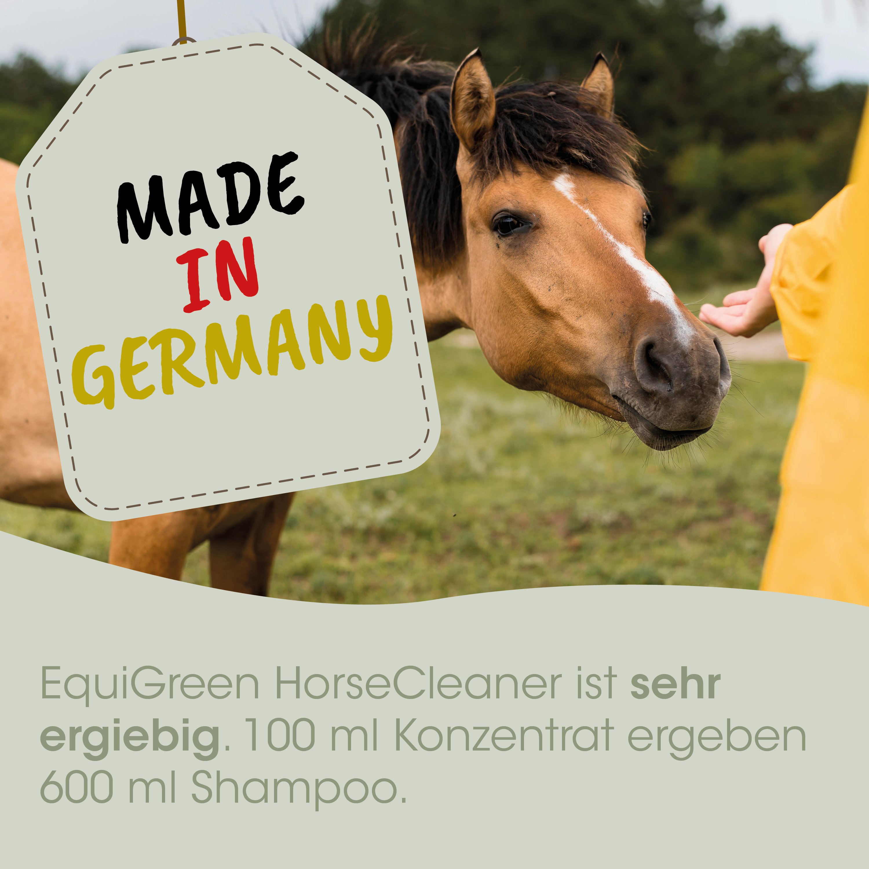 Pferd, Pferdepflege, Shampoo, Konzentratr, Made in Germany