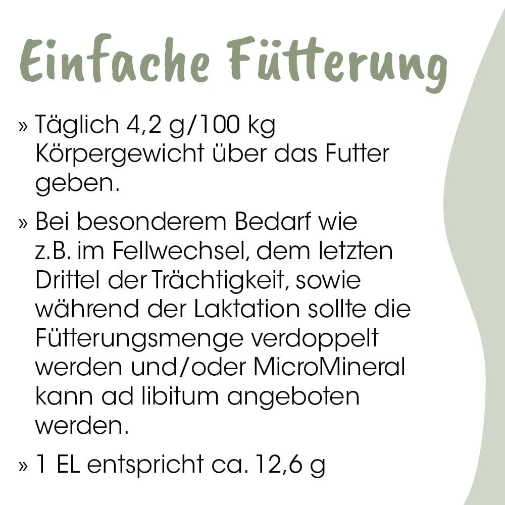 Futter, Hundeernährung, Trockenfutter, Fütterung, Proteinquelle