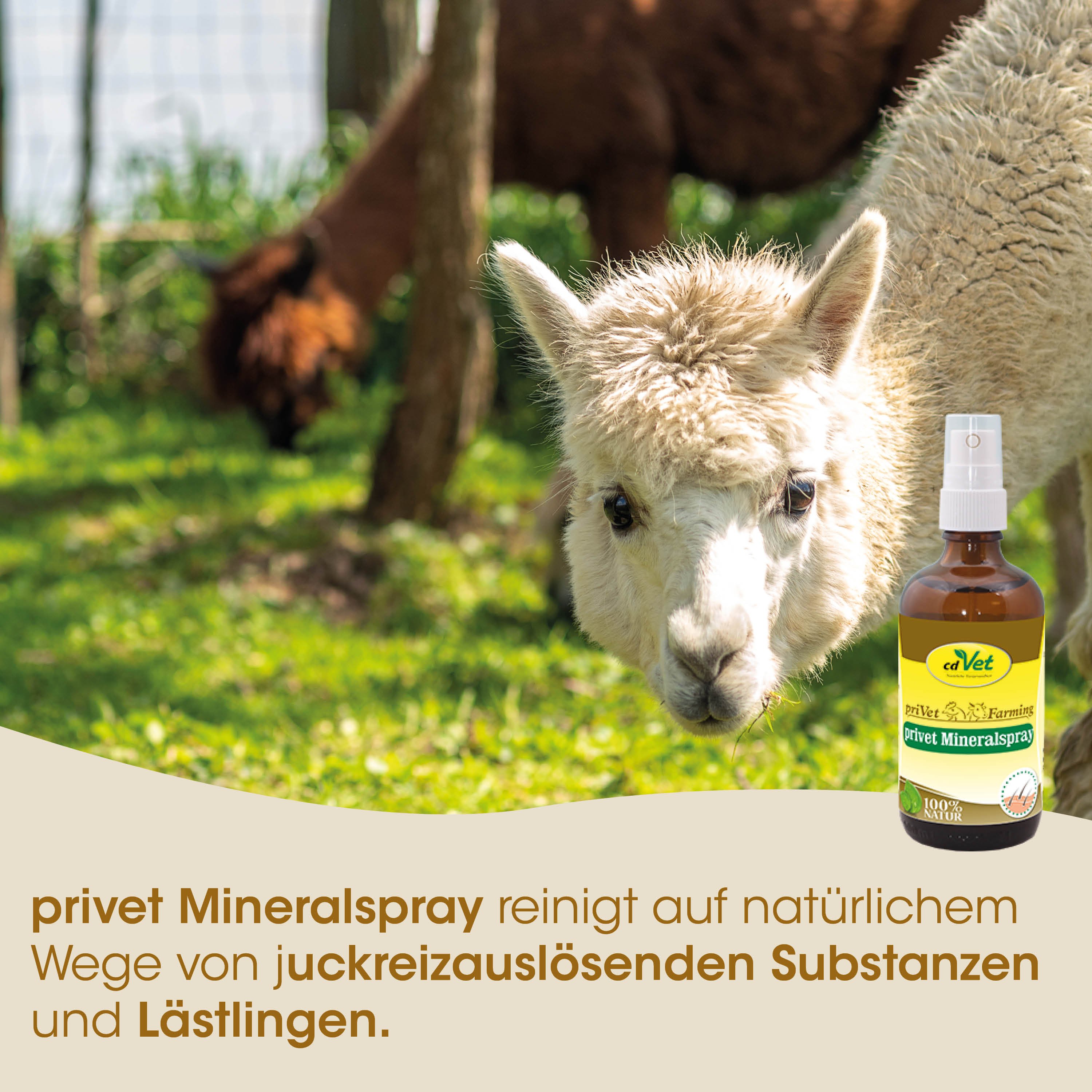 Lama, Lama Produkt, Mineralspray, Naturprodukt, Tierpflege