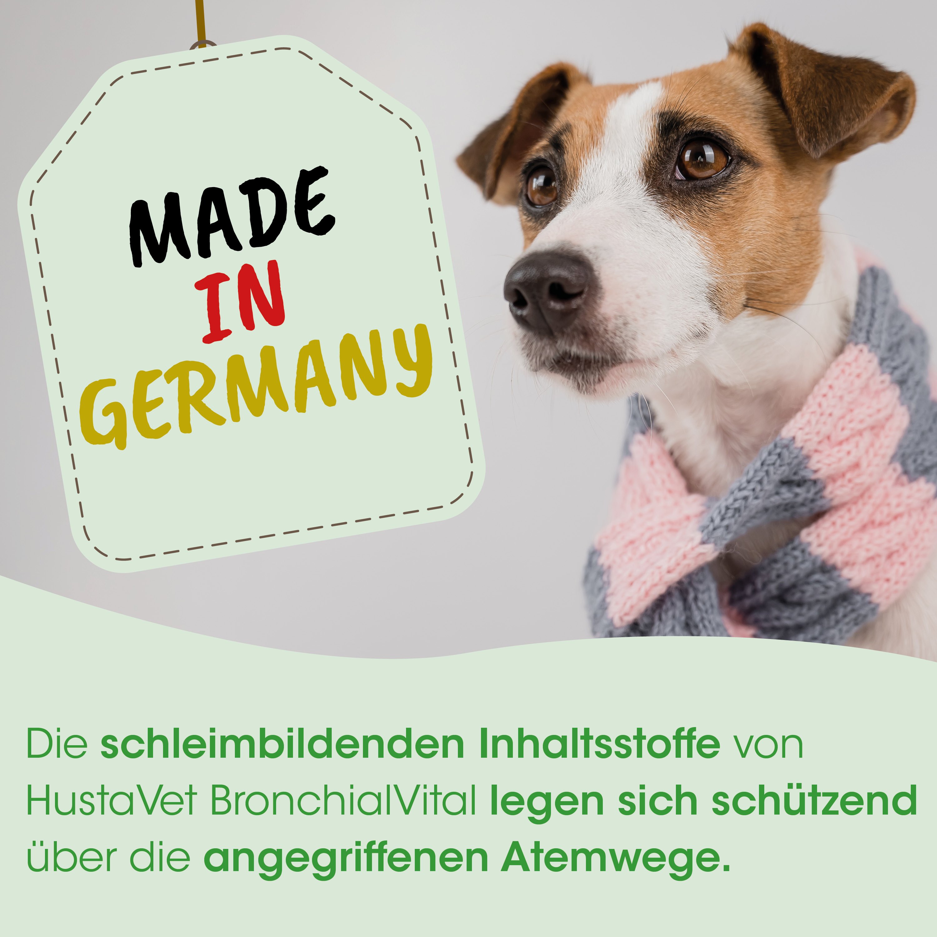 Hund, Schal, Strickschal, Kleidung, Made in Germany