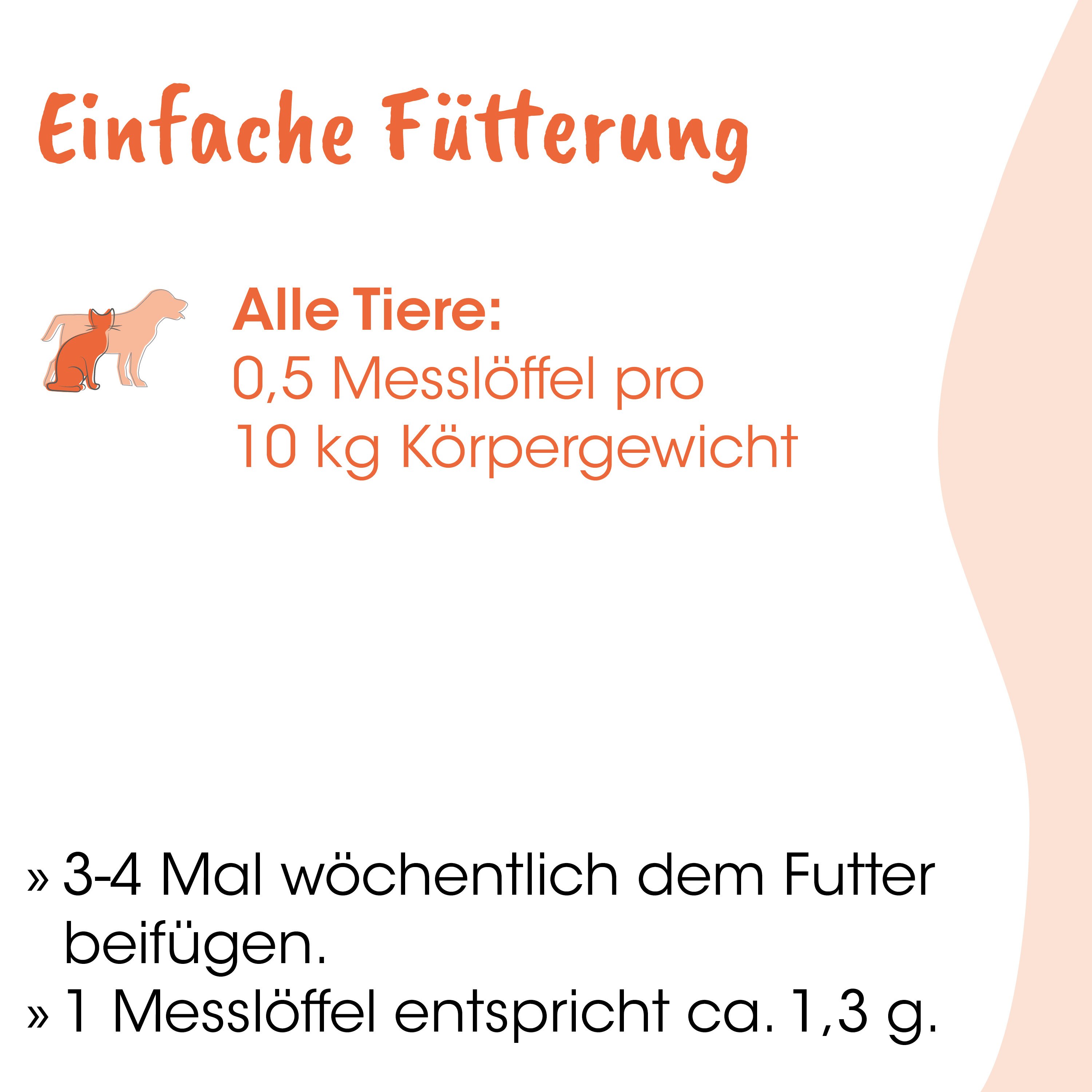 Fütterung, Tierfutter, Messlöffel, Körpergewicht, Hund