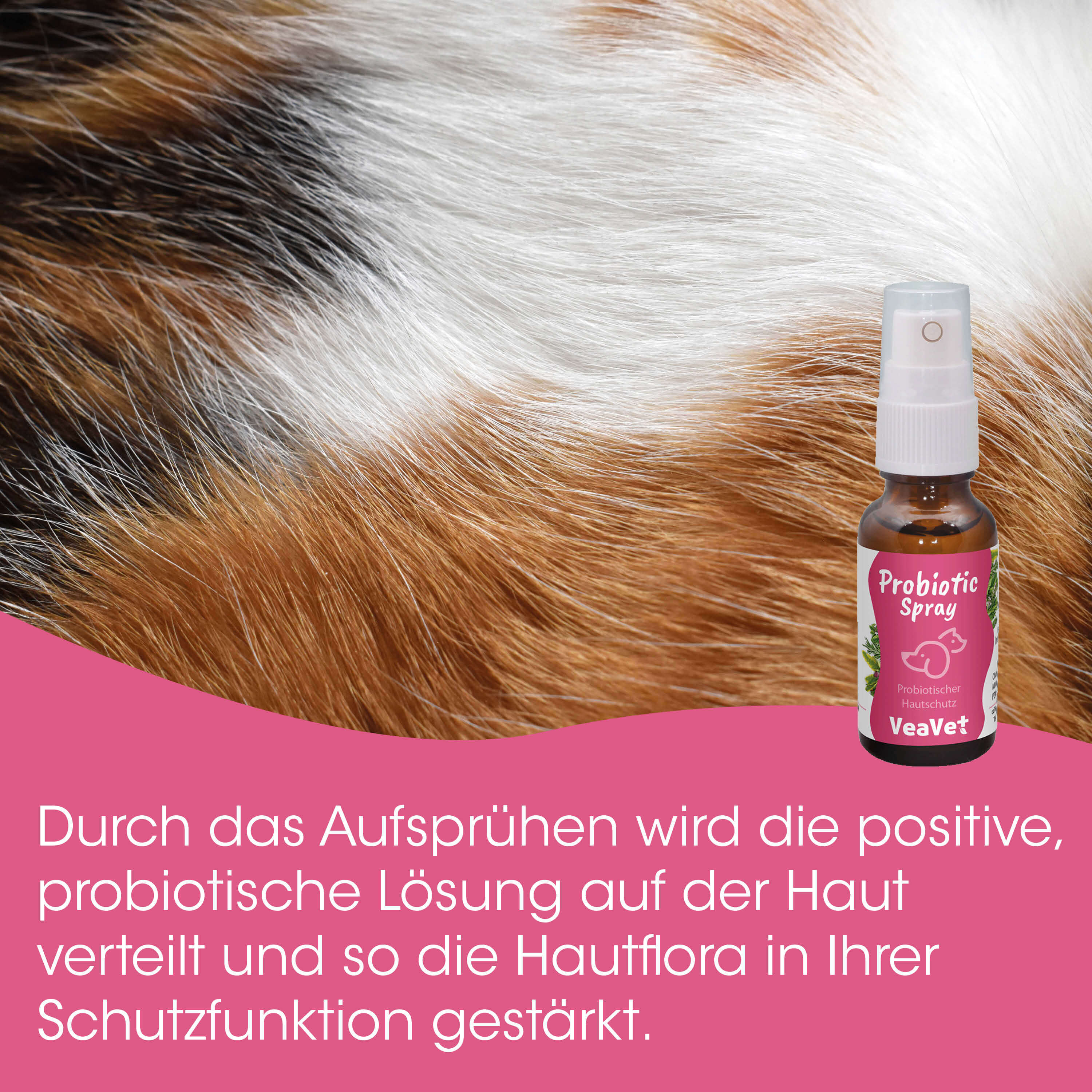 spray, probiotisch, Hautpflege für Hund, Anti-Juckreiz, Tier-Spray