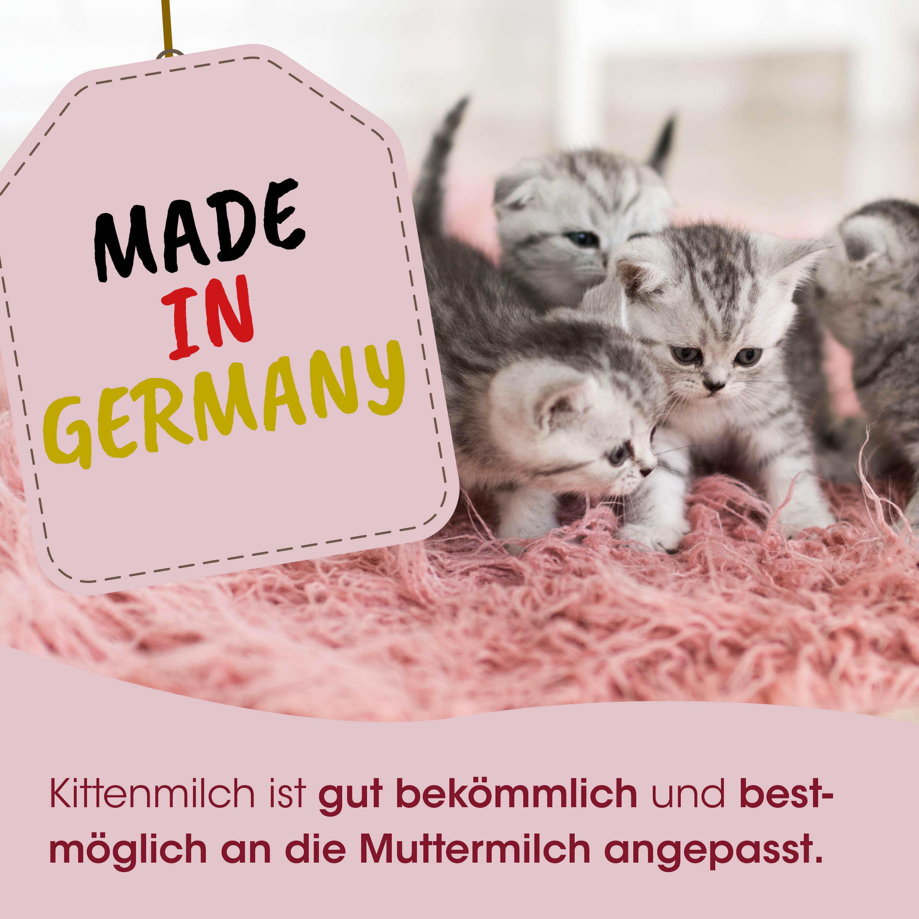 Katzenbabys, Kitten, Milch, Pflegehinweis, Germany_made