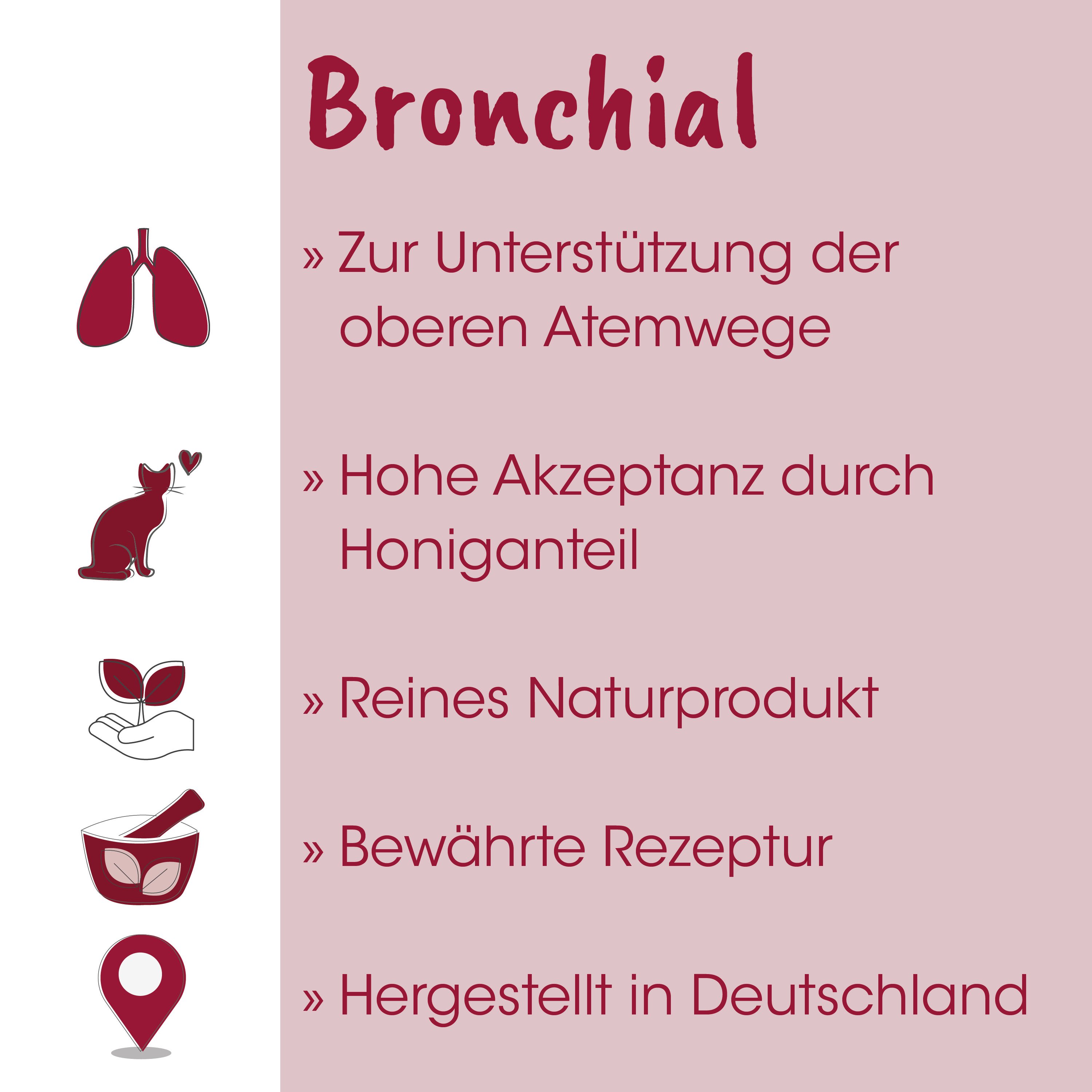 Bronchial, Lungenbild, Icons, Katzenicon, Herzsymbol
