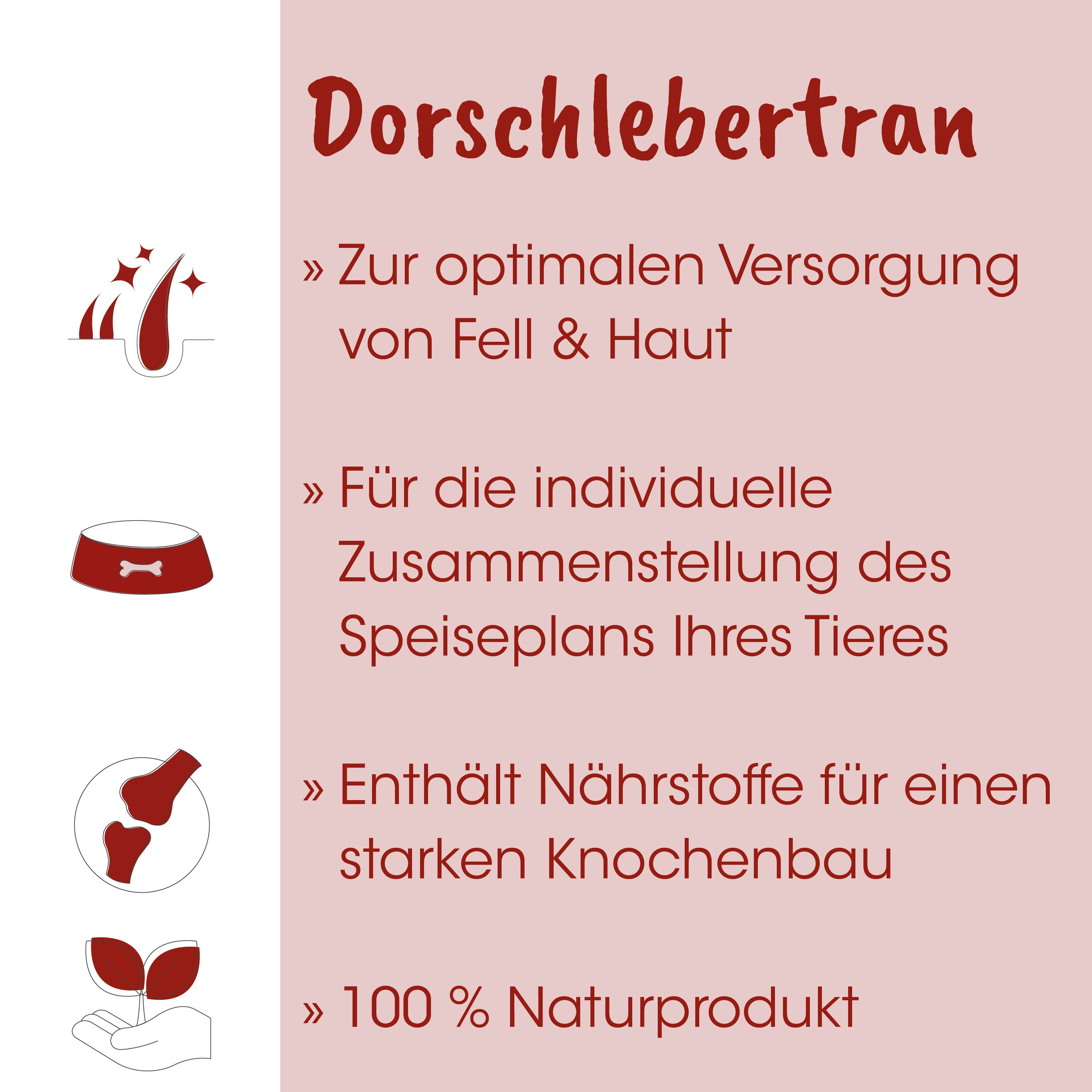 dog bowl, bone, Knochen, rot, Illustration