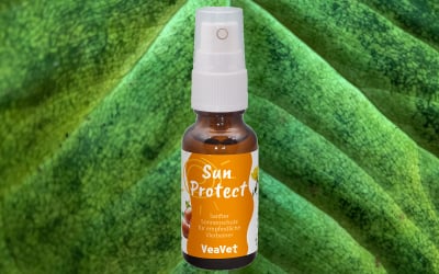 Kräuterig, Pflanze, Sirup, Zinn, Spraydose