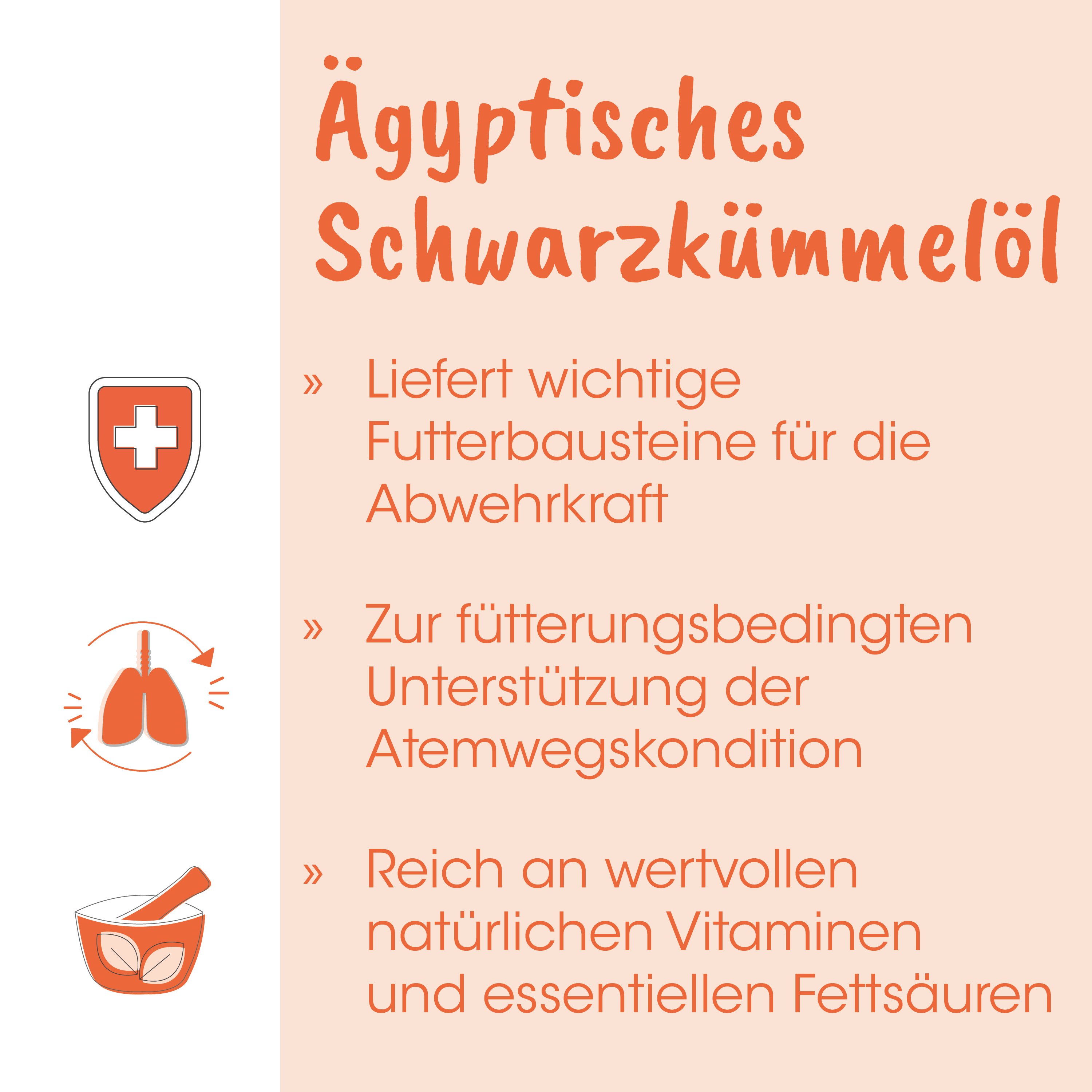 ägyptisches, Schwarzkümmelöl, Fettsäure, Abwehrkraft, Nahrungsergänzung