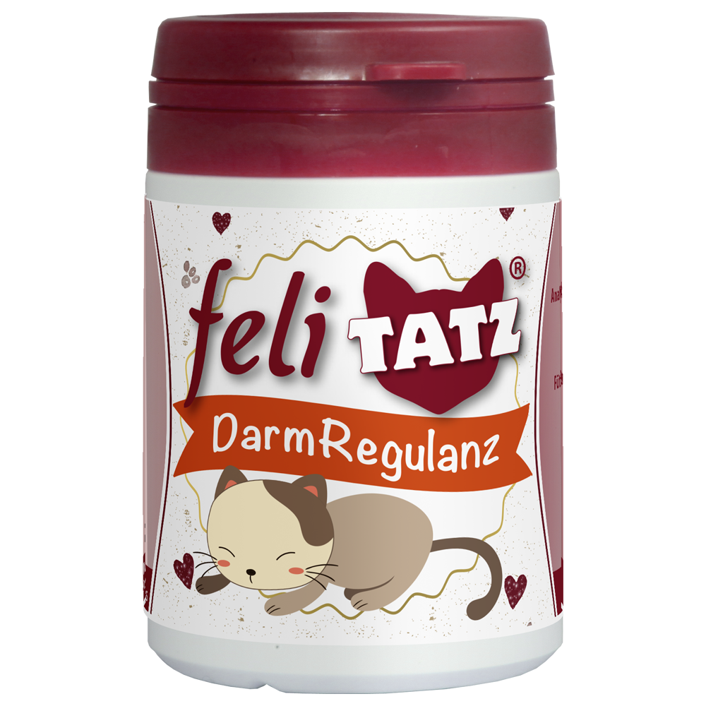 Katze, Darmregulanz, Medikament, Tiergesundheit