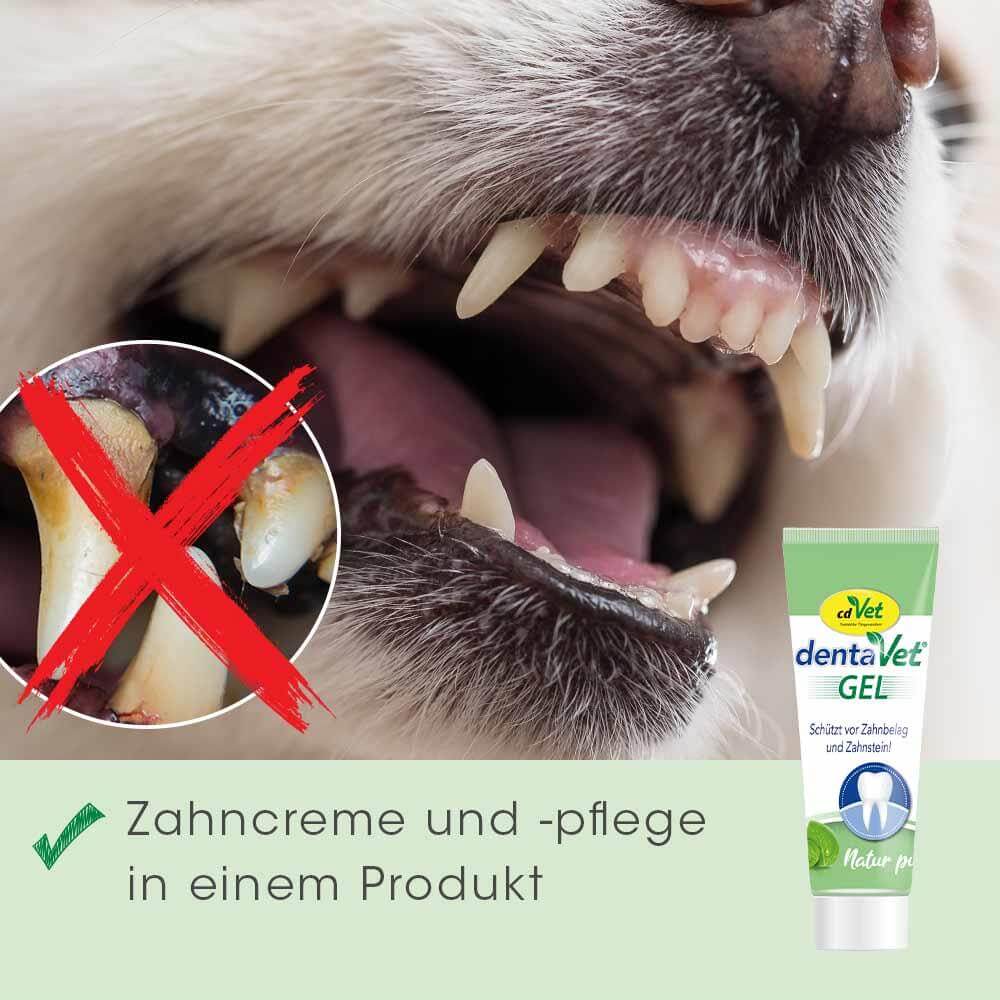 dentaVet Gel 25 ml