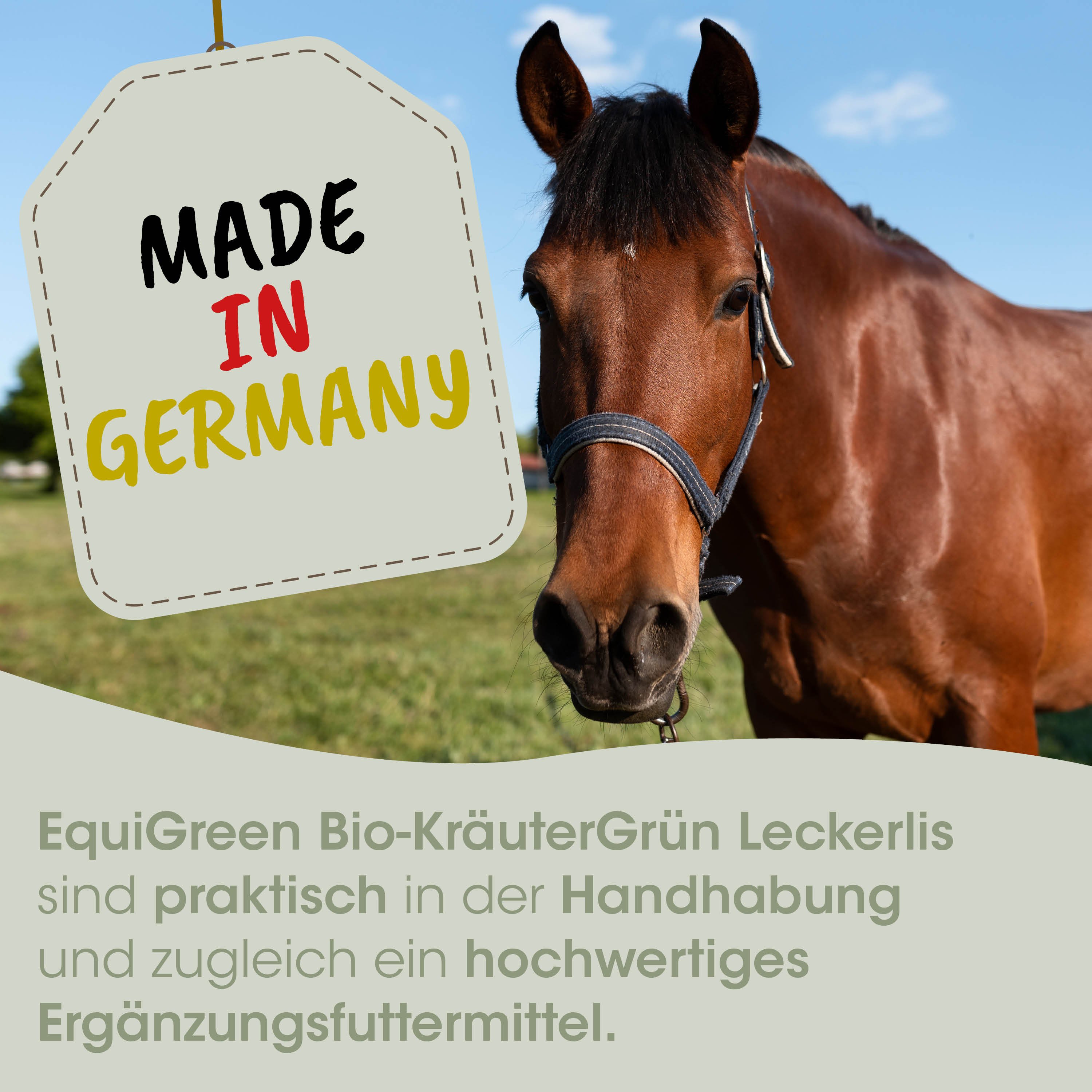 Pferd, Halfter, braun, Tier, Aufkleber Grafik
