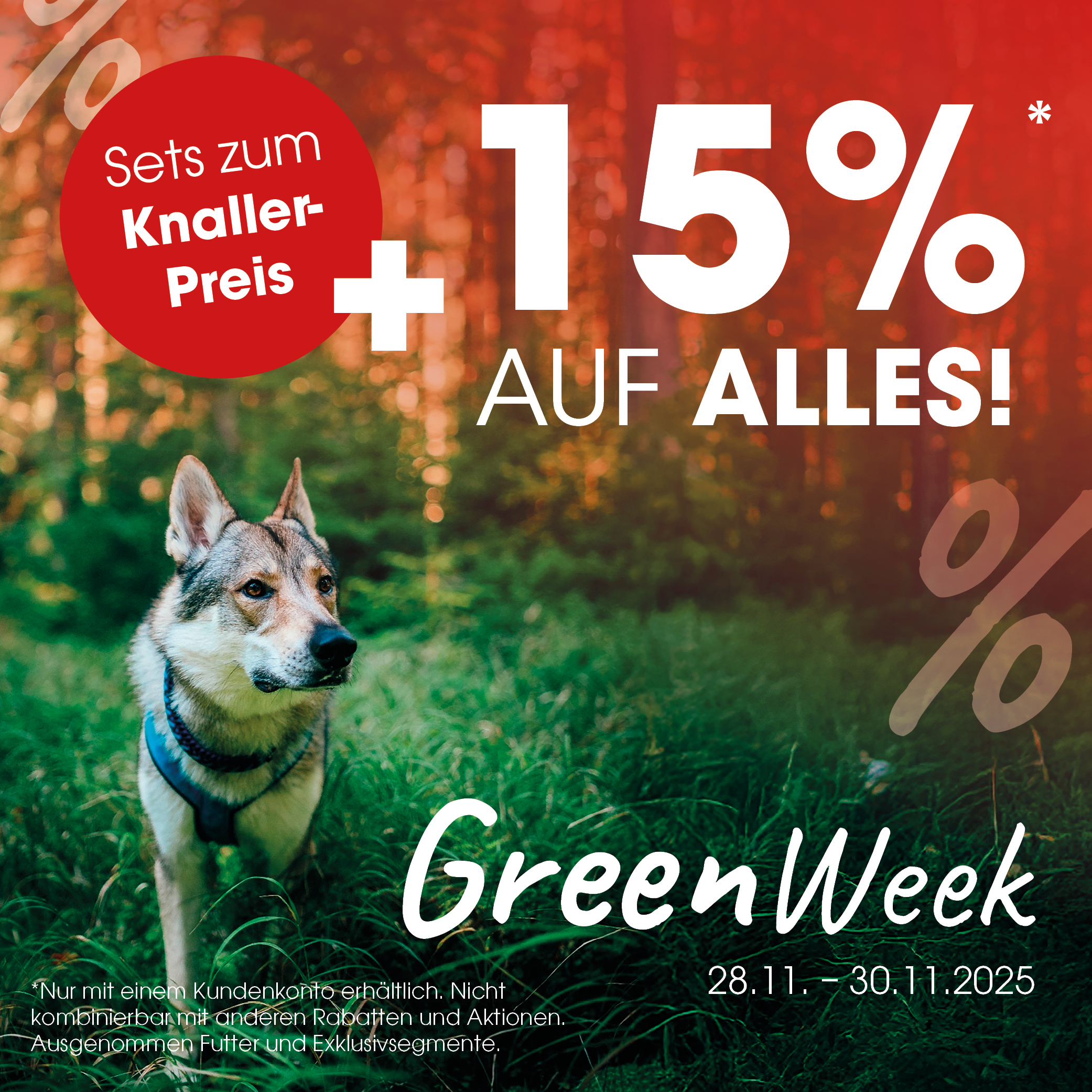 Werbung, Plakat, Hund, Husky, Haustier