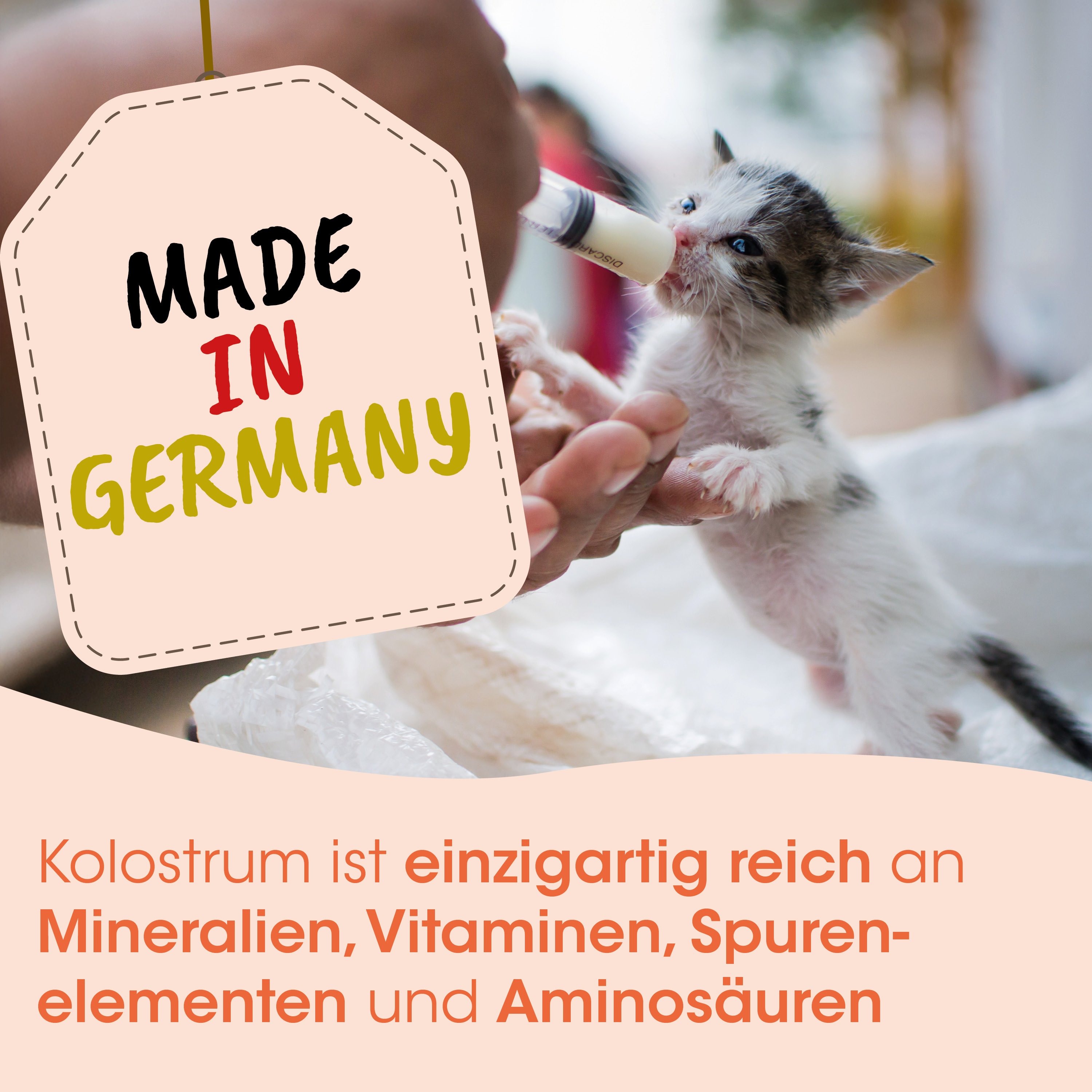 Kätzchen, Baby-Katze, Milchflasche, Fütterung, Katze